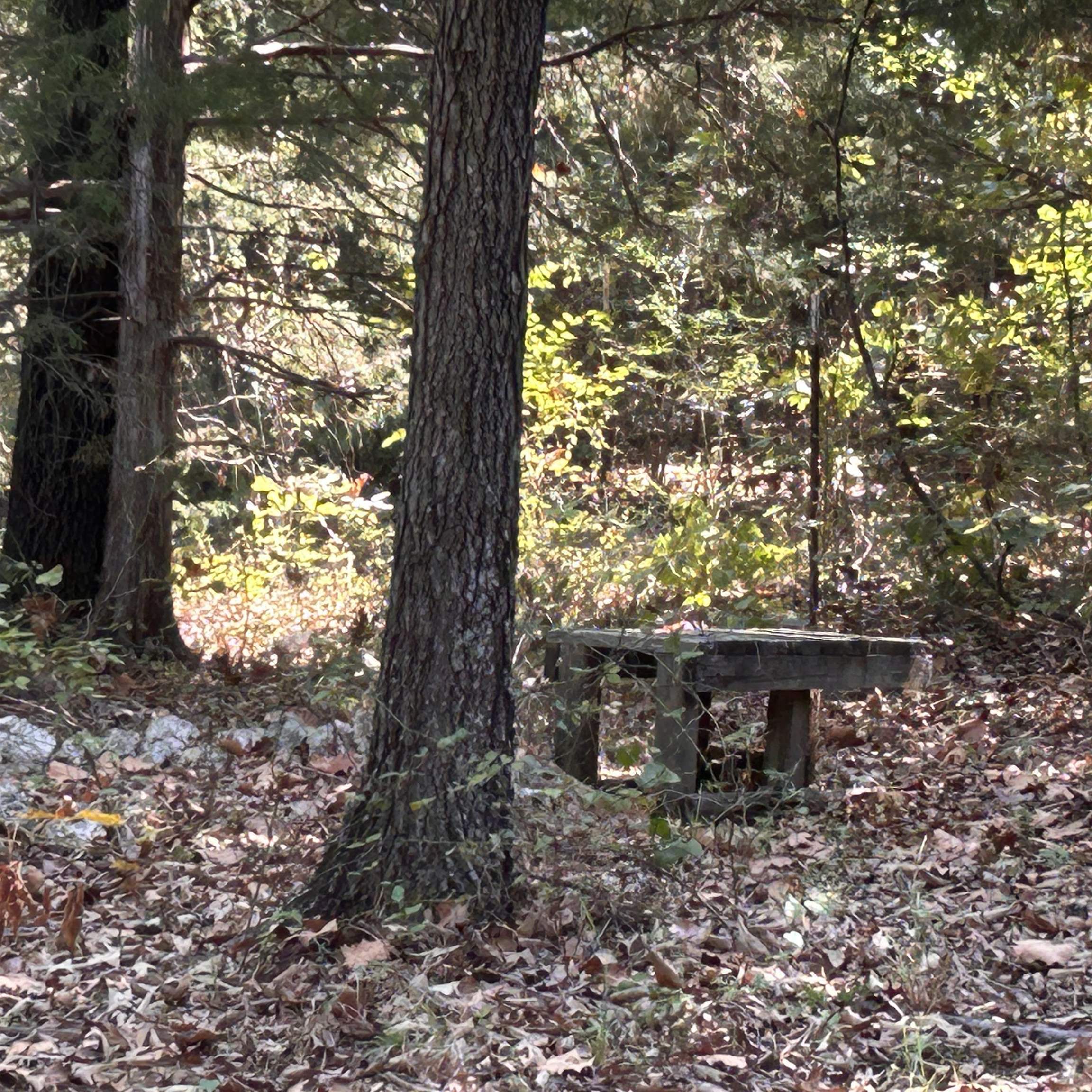 509 River Road Property Photo 23