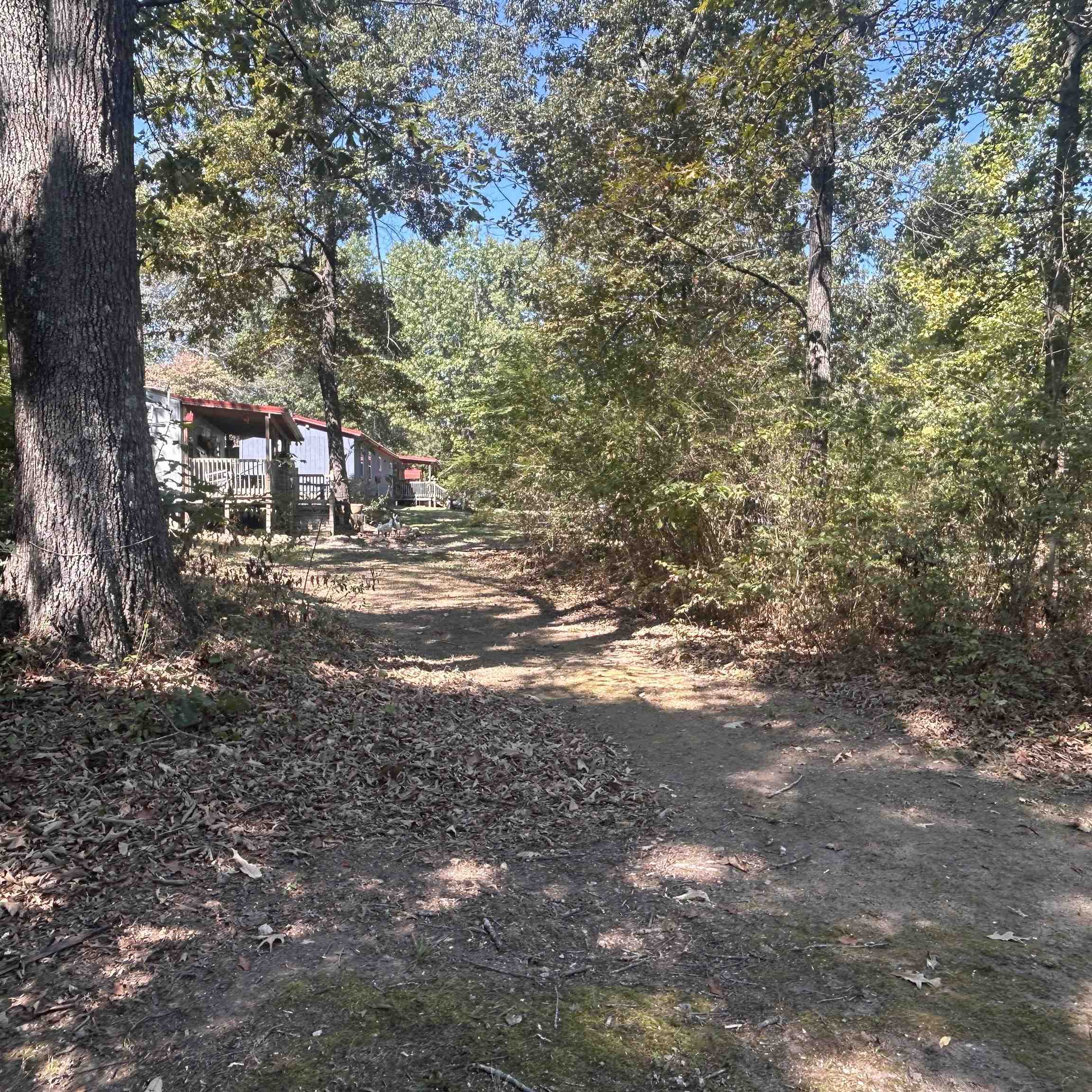 509 River Road Property Photo 24