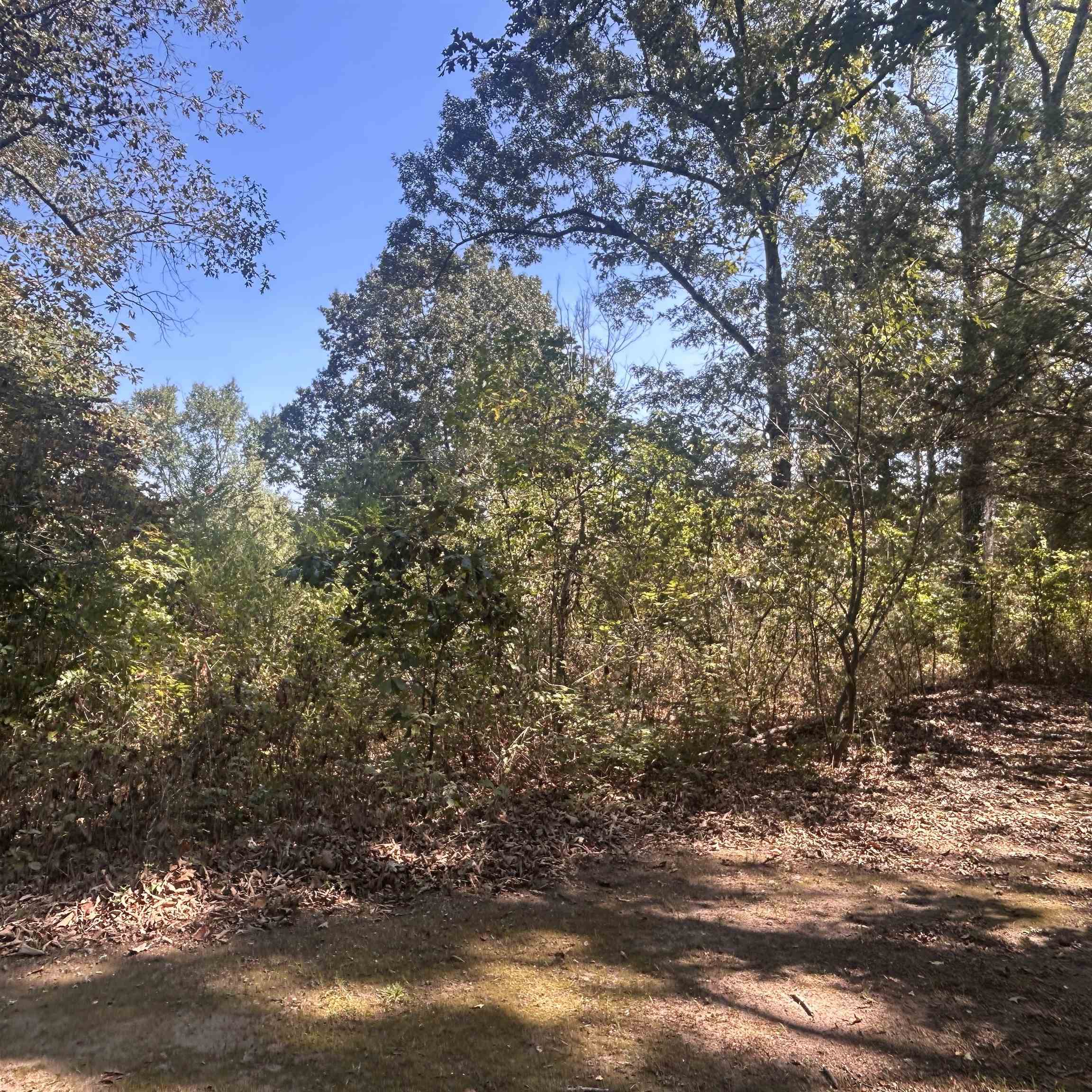 509 River Road Property Photo 25