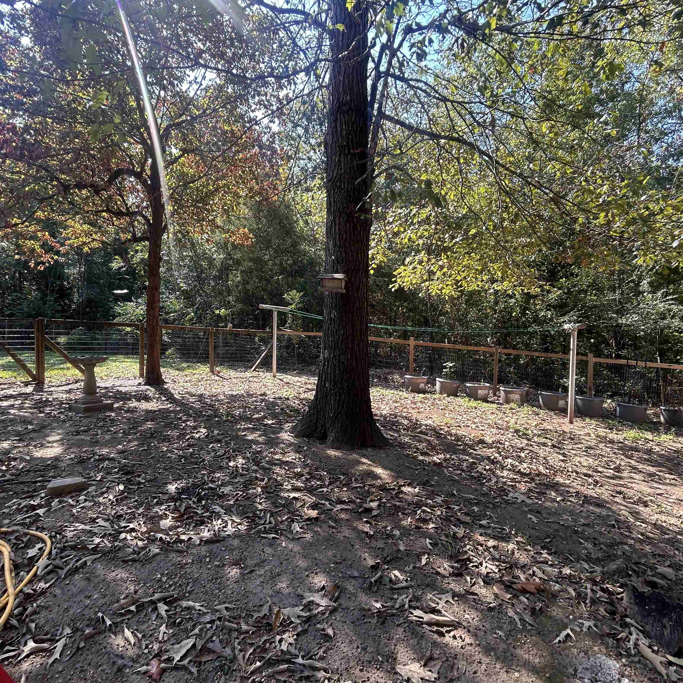 509 River Road Property Photo 40