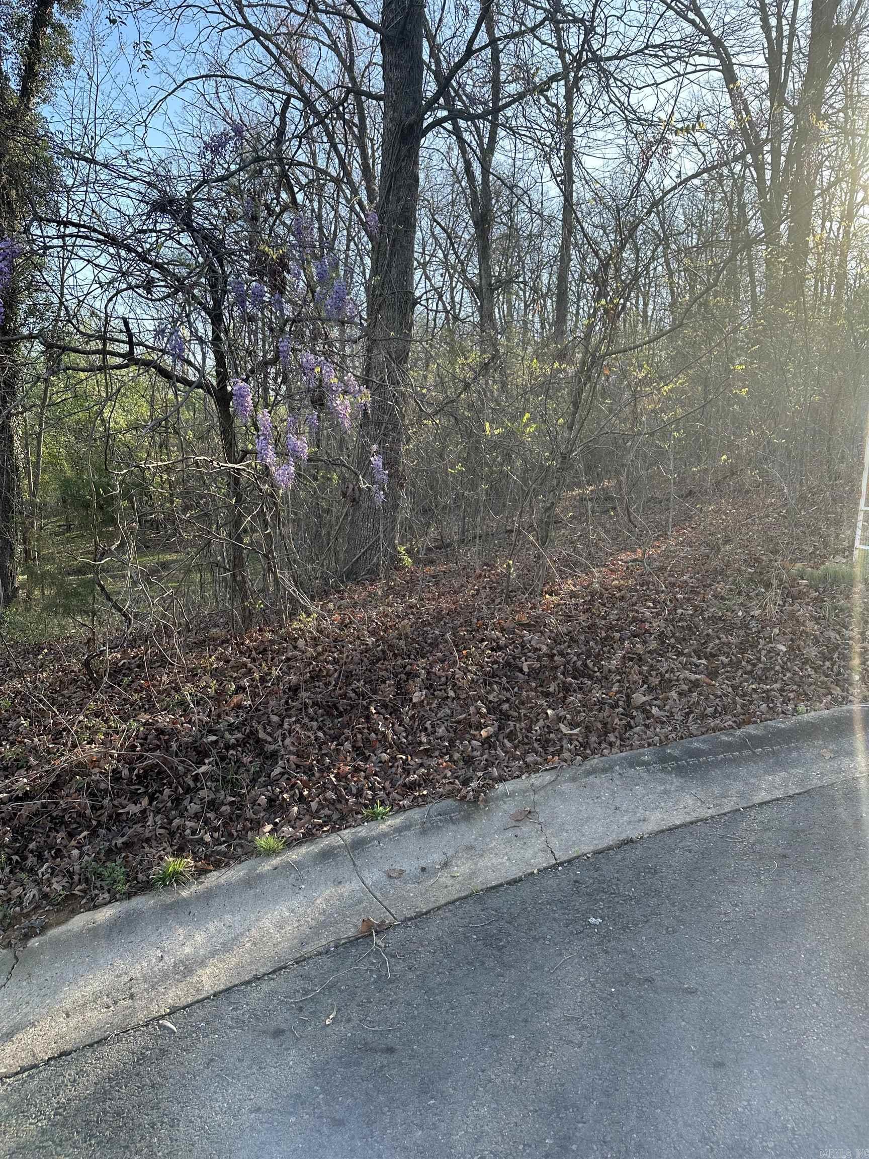 Tbd Aprilgrace Court Property Photo 3