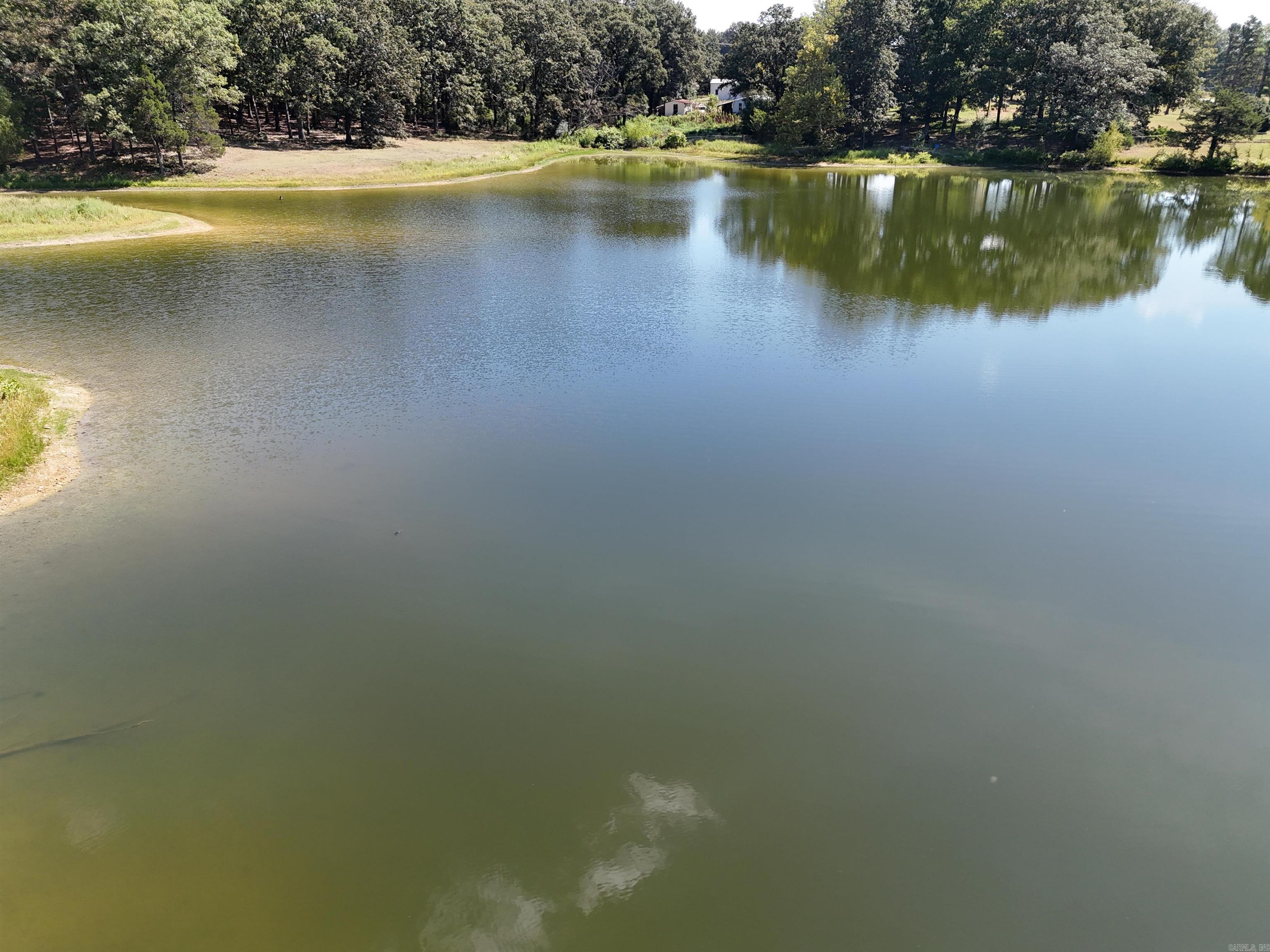 3719 Hwy 117 Property Photo 12