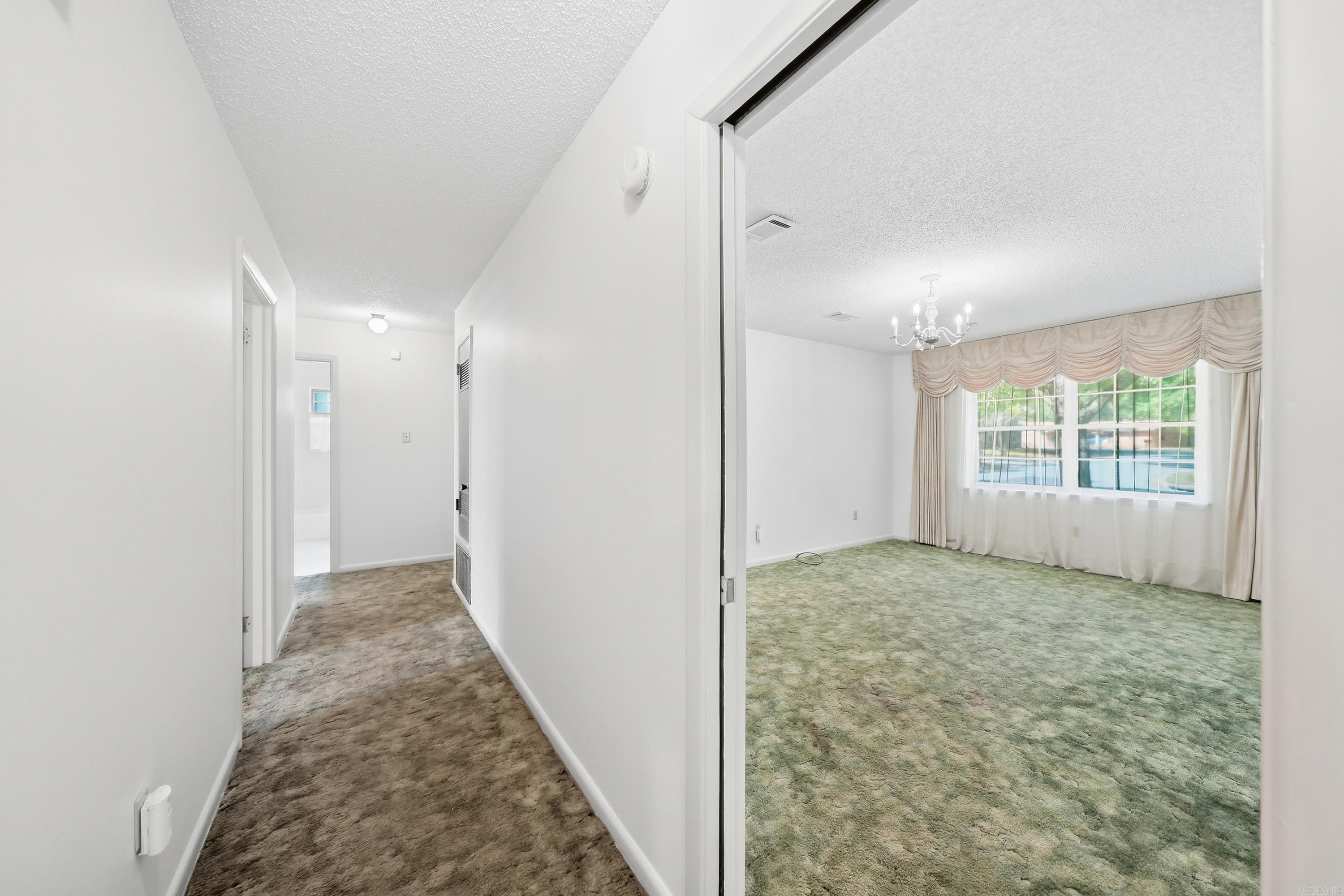 8007 Edwina Drive Property Photo 23