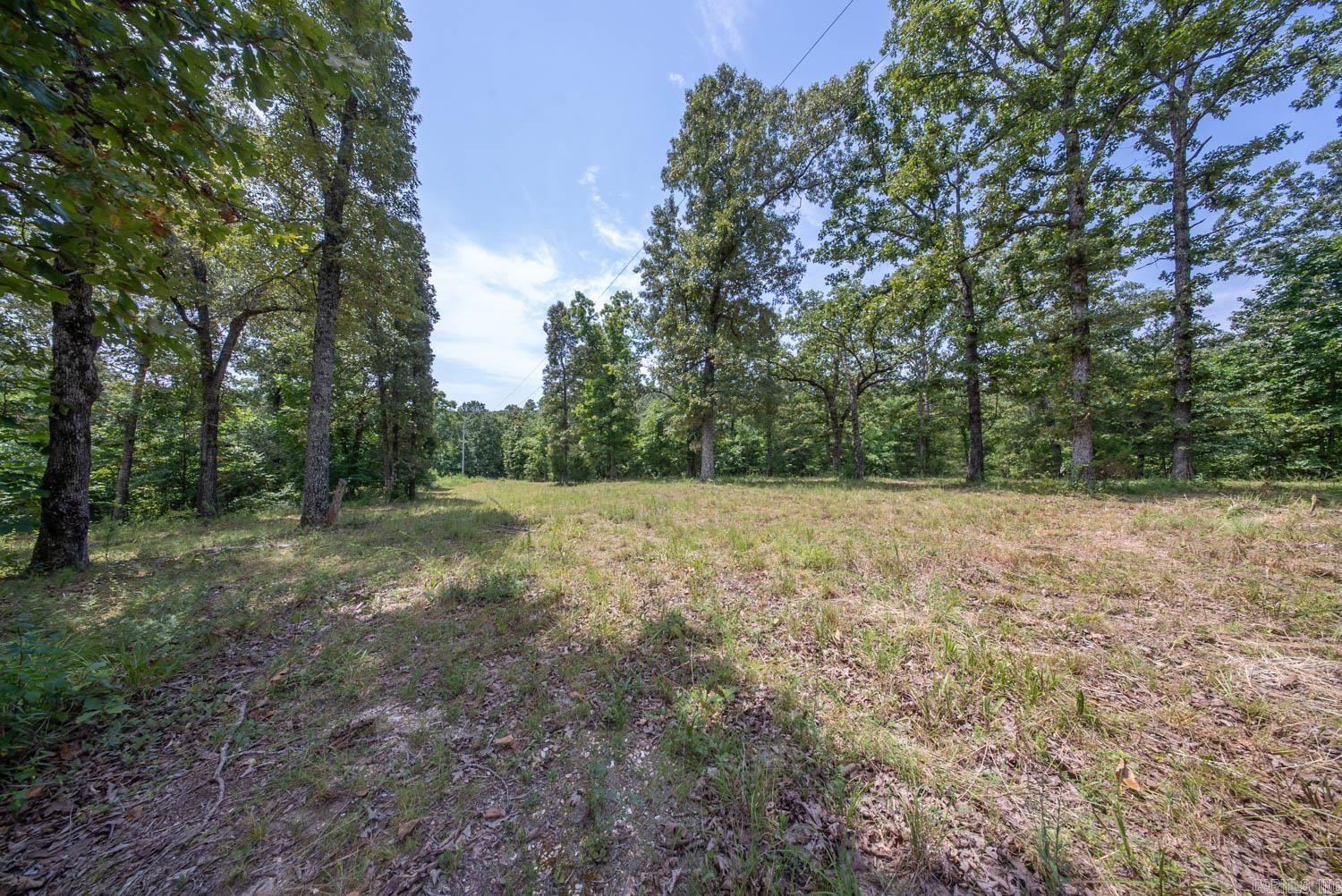 32312 U.s. Highway 160 Property Photo 5