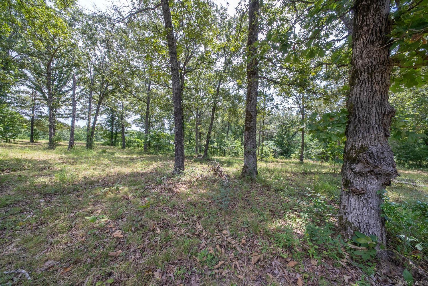 32312 U.s. Highway 160 Property Photo 6