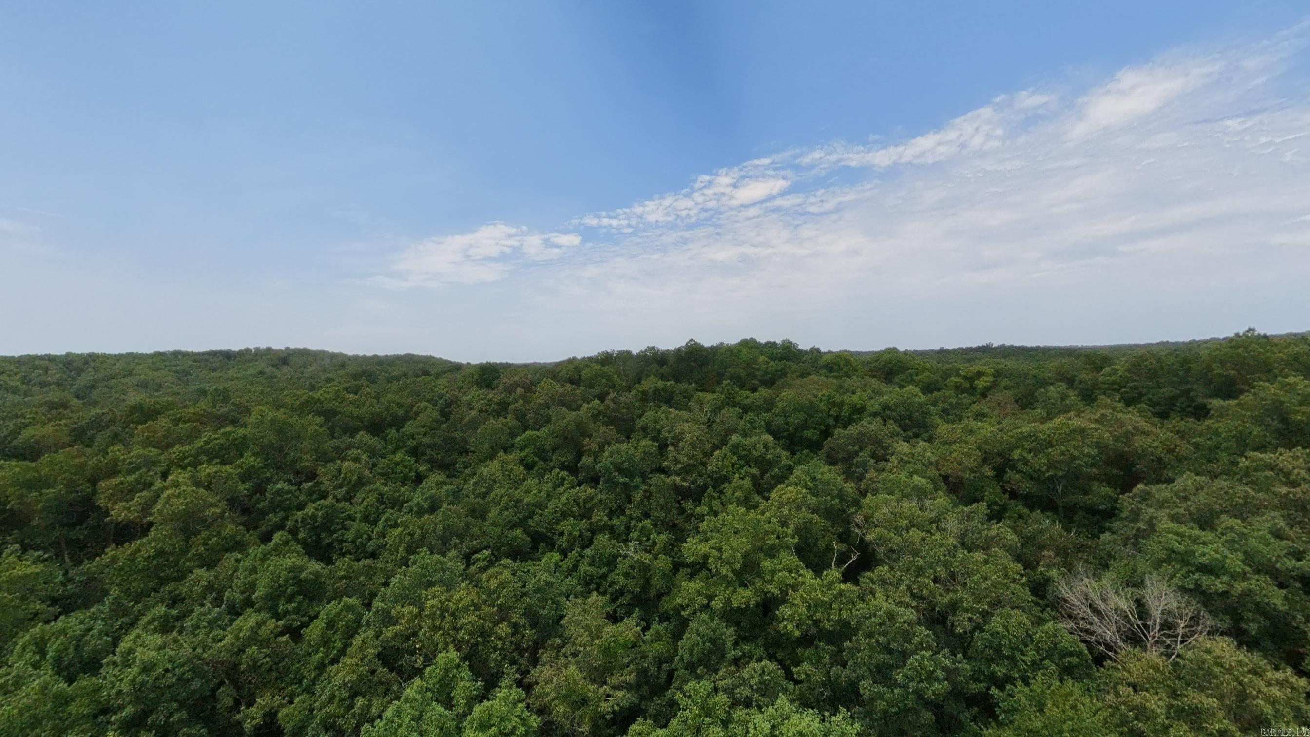32312 U.s. Highway 160 Property Photo 25