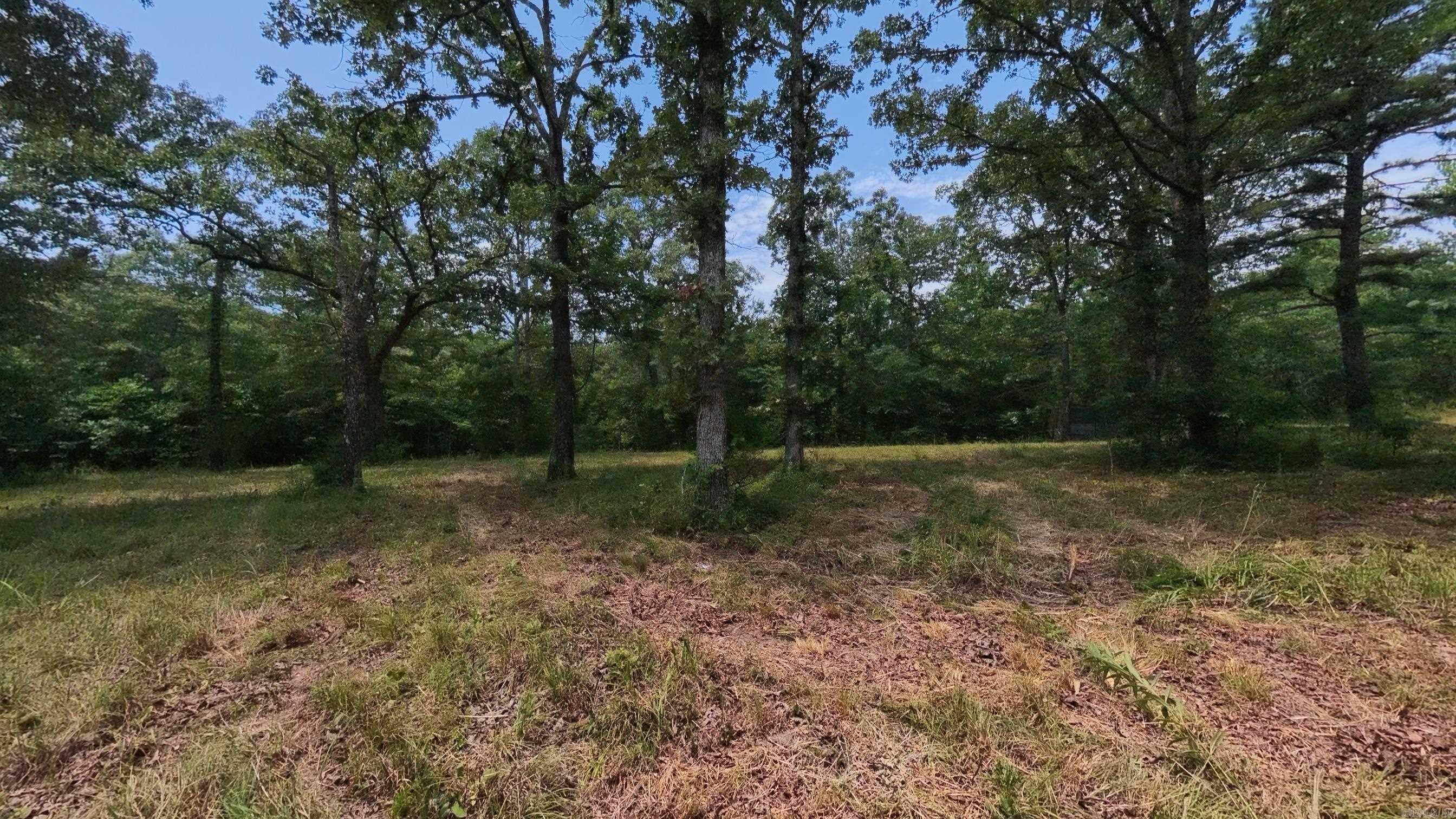 32312 U.s. Highway 160 Property Photo 35