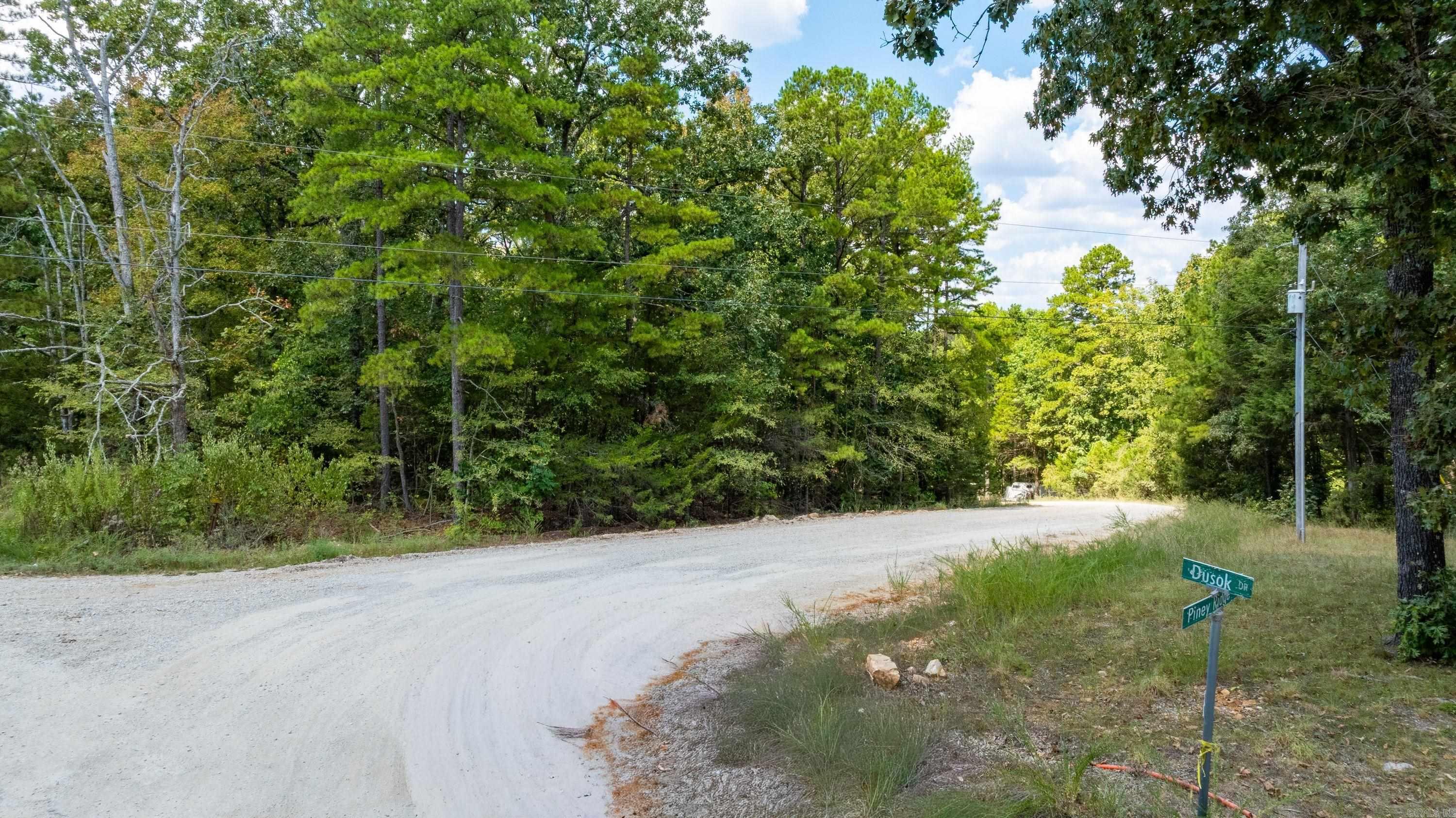 Piney Ridge Rd Property Photo 4