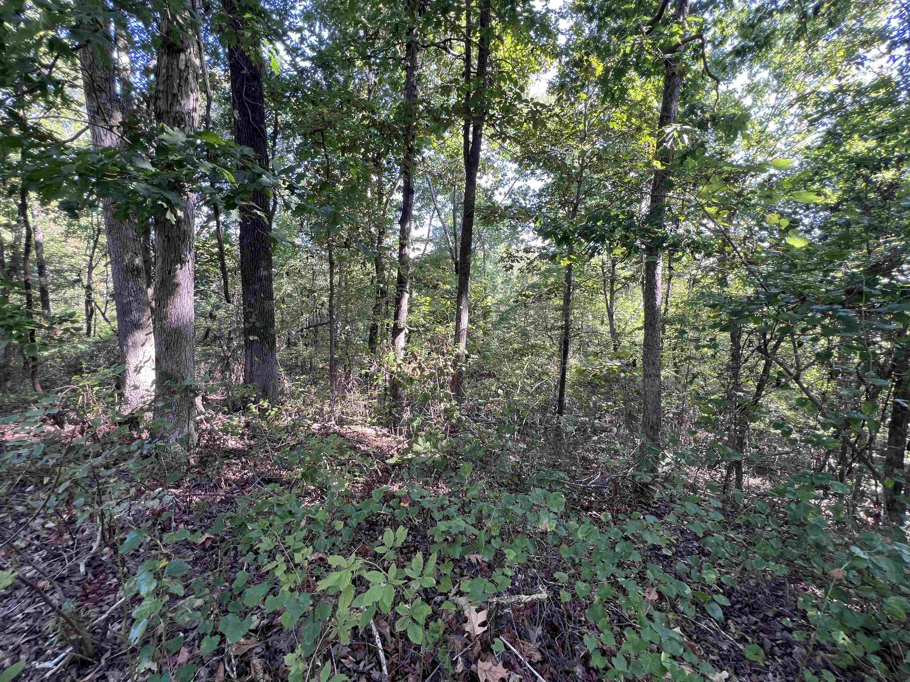 358 Rackley Rd Property Photo 28