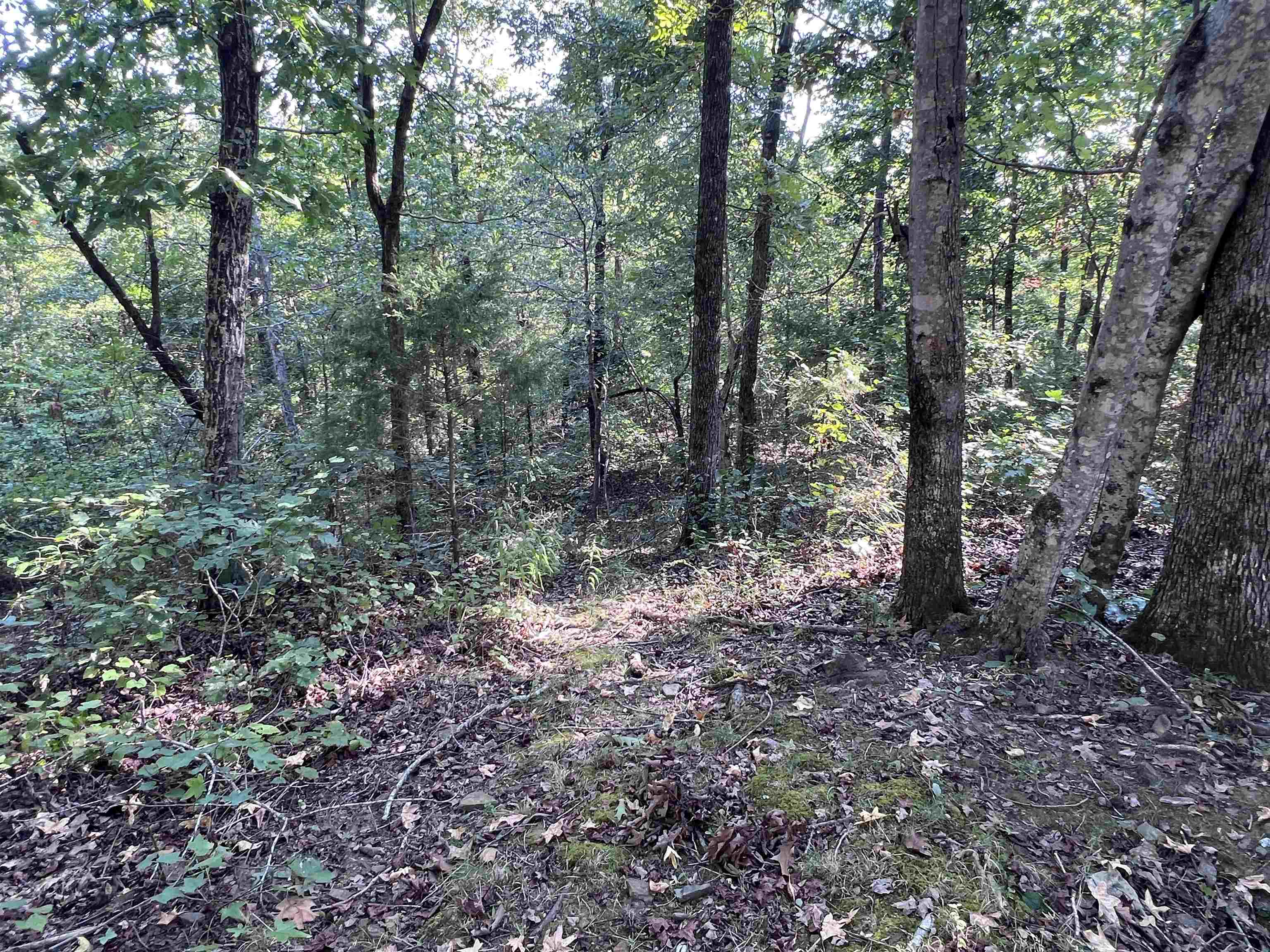 358 Rackley Rd Property Photo 29