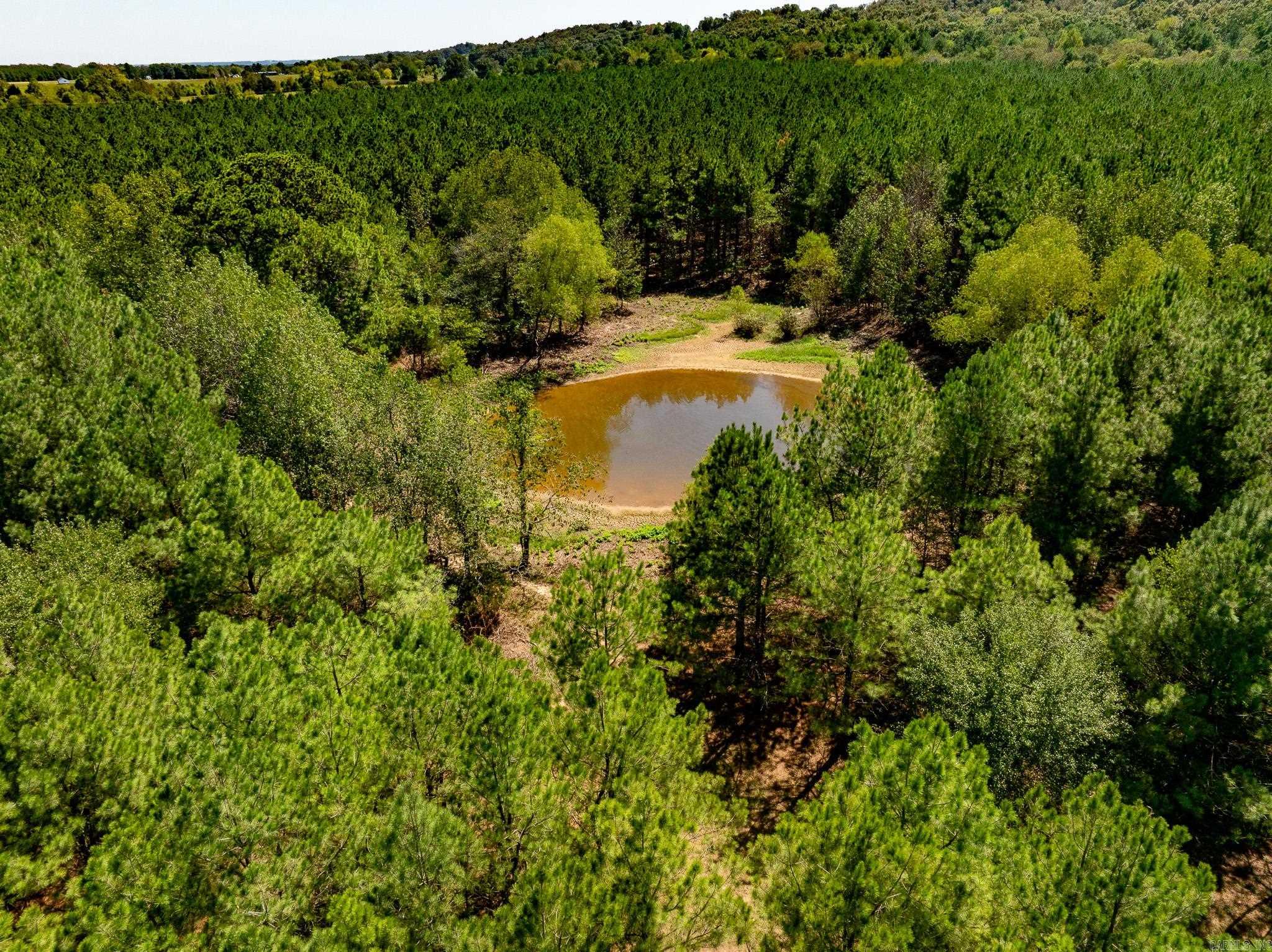 000 Hwy. 31 Property Photo 4