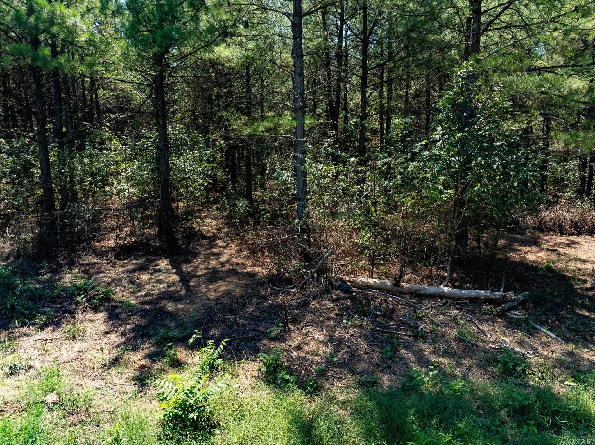 000 Hwy. 31 Property Photo 7