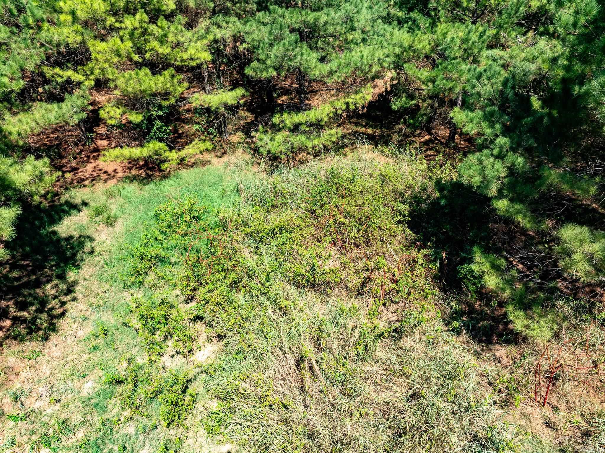 000 Hwy. 31 Property Photo 10