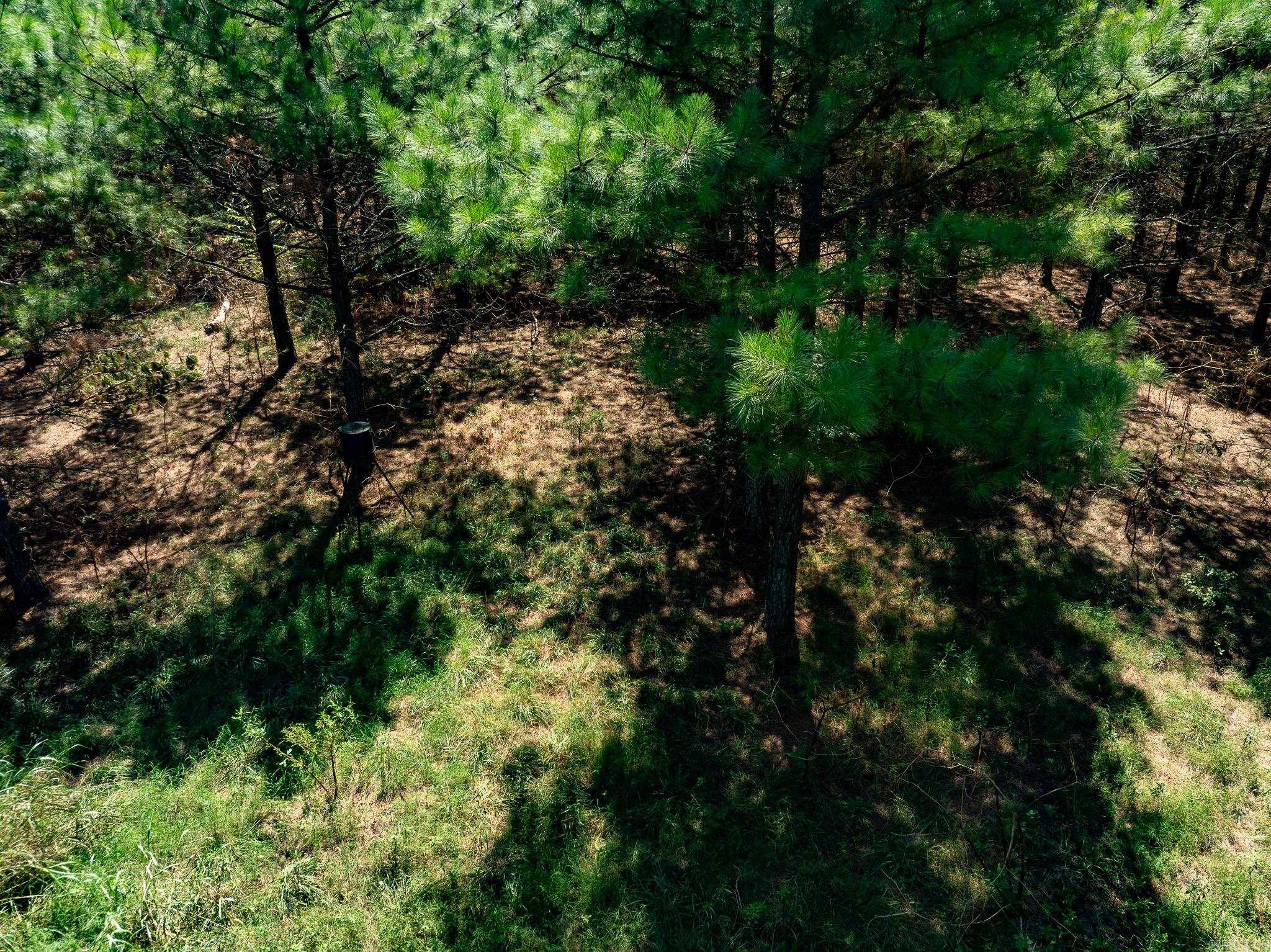 000 Hwy. 31 Property Photo 11