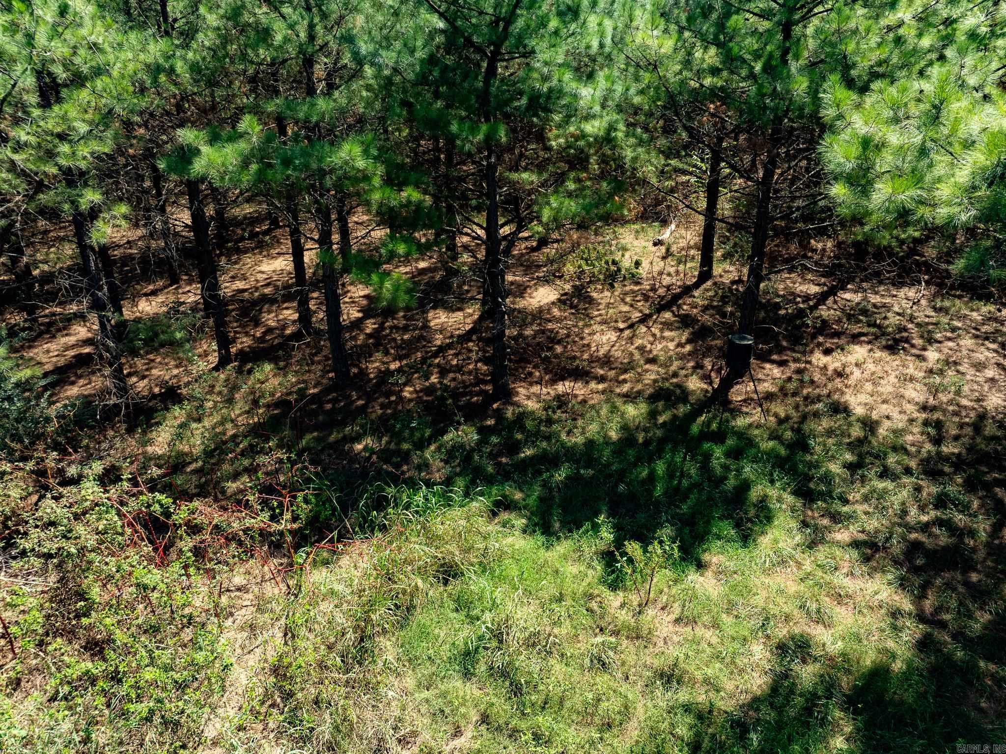 000 Hwy. 31 Property Photo 13