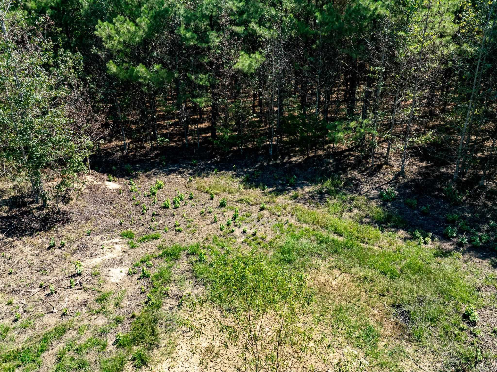 000 Hwy. 31 Property Photo 15