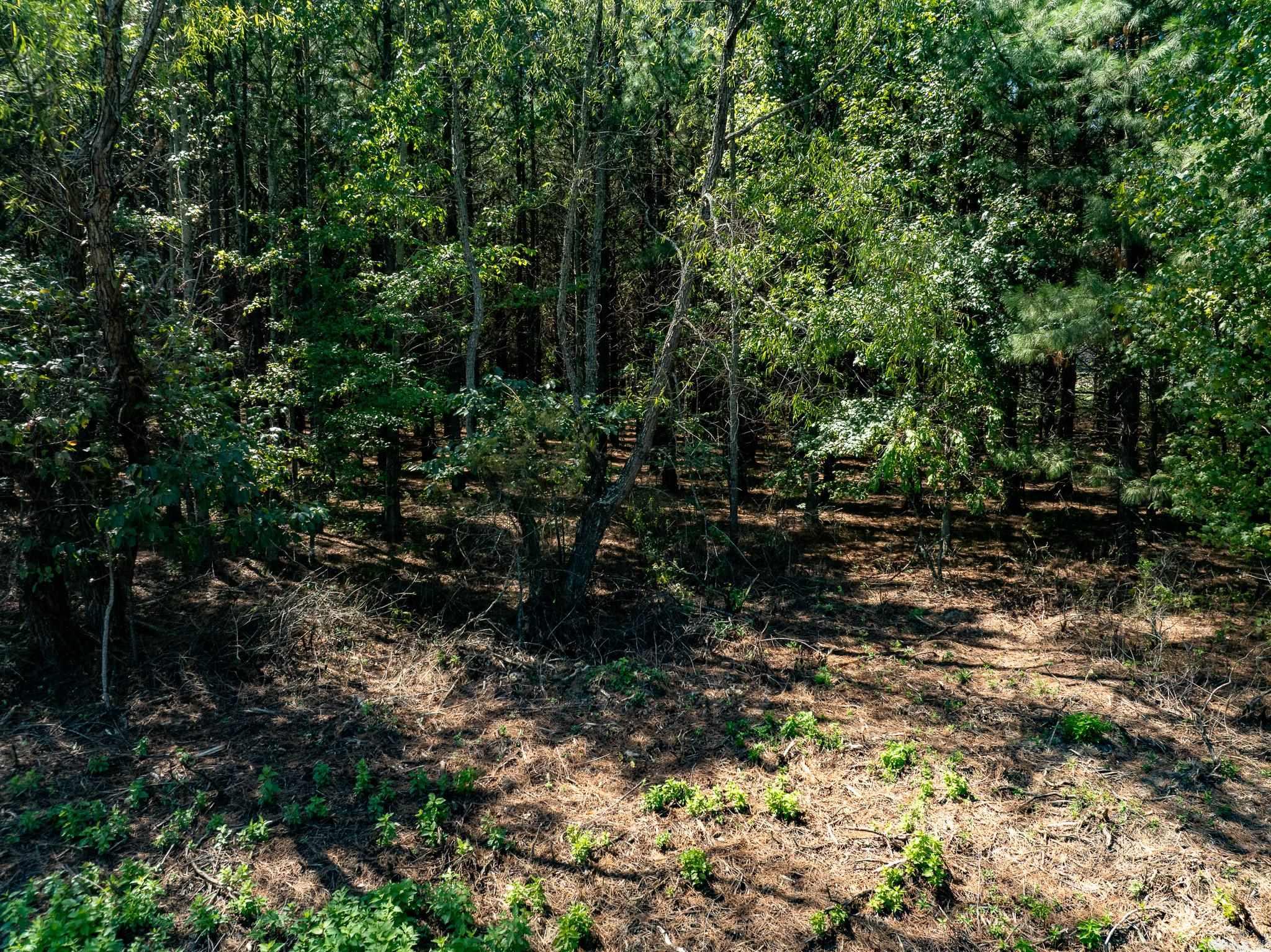 000 Hwy. 31 Property Photo 19