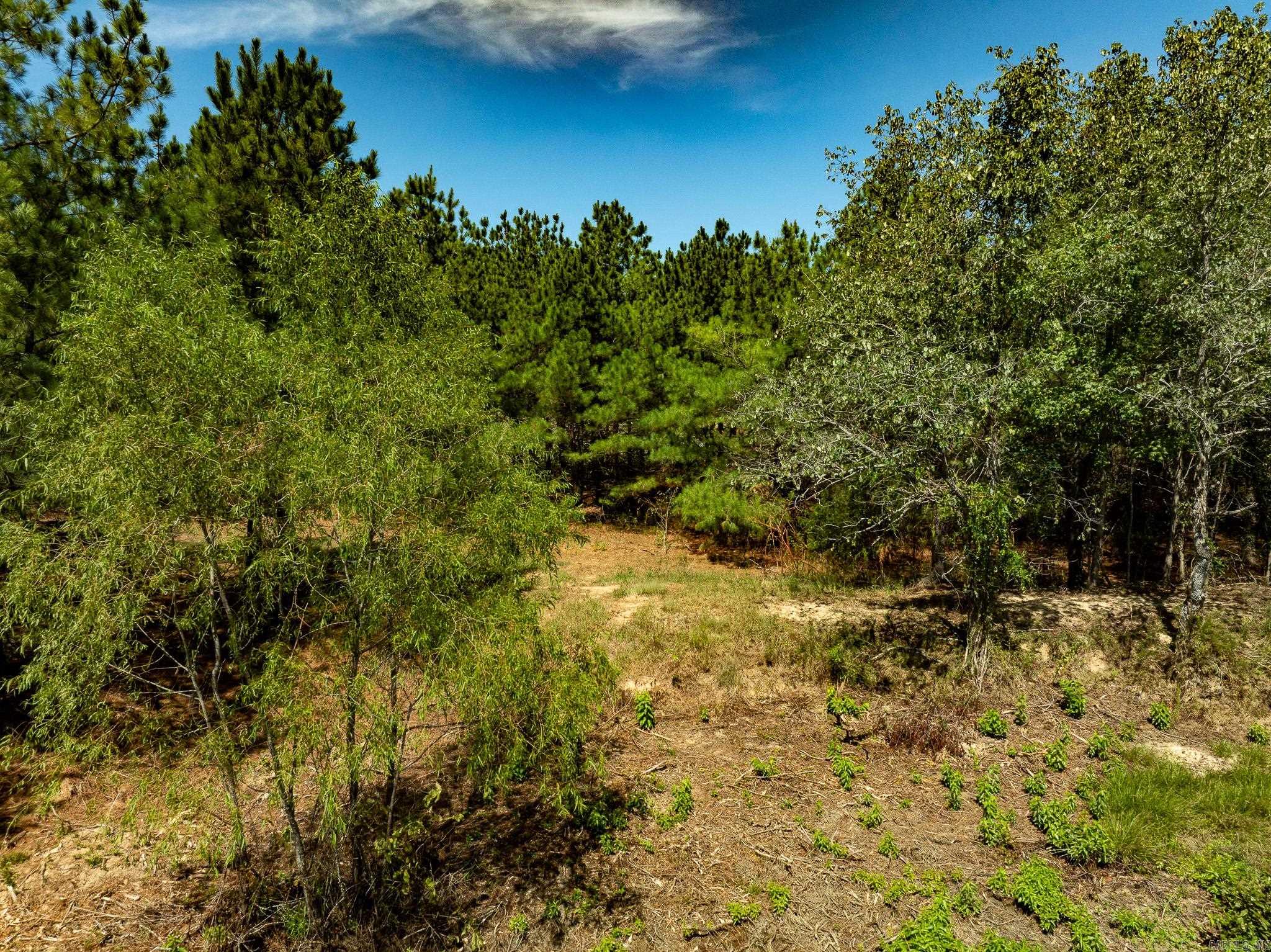 000 Hwy. 31 Property Photo 20
