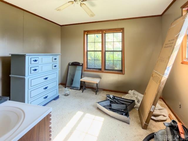 2023 Hwy 63 Property Photo 13