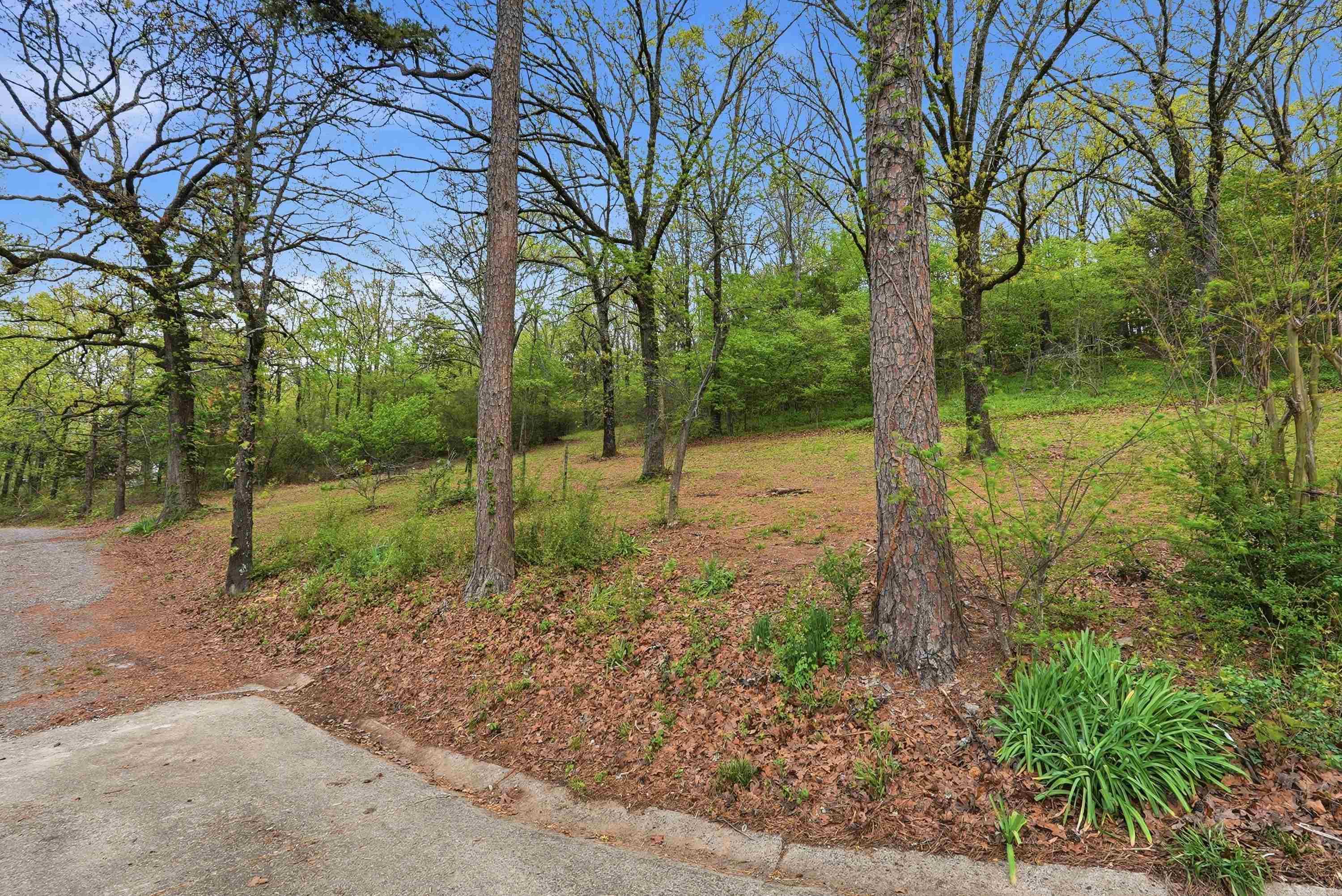175 Acklin Gap Road Property Photo 11