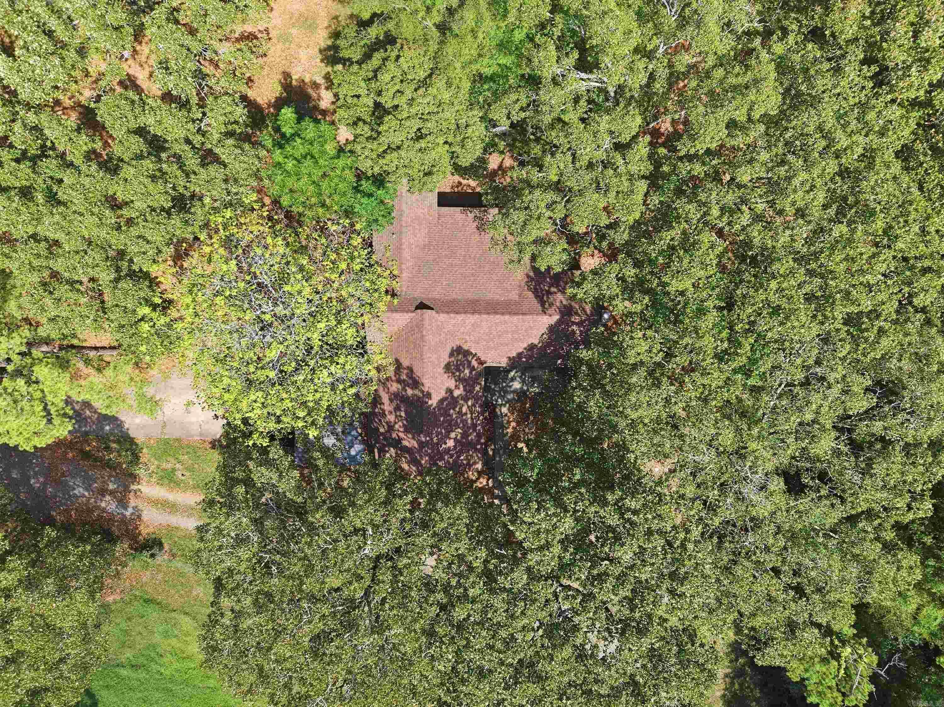 175 Acklin Gap Road Property Photo 29