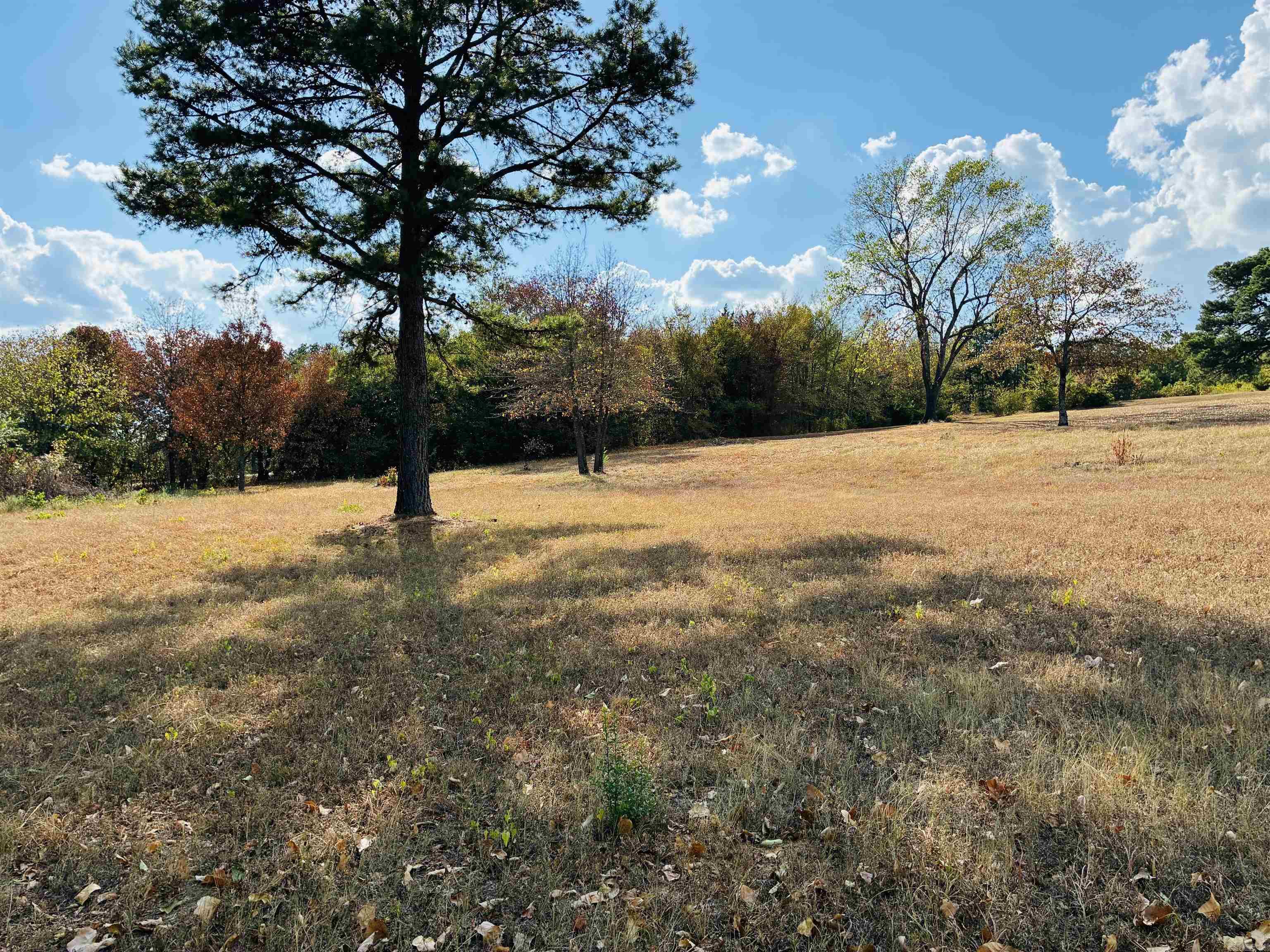 6507 N State Highway 109 Property Photo 19