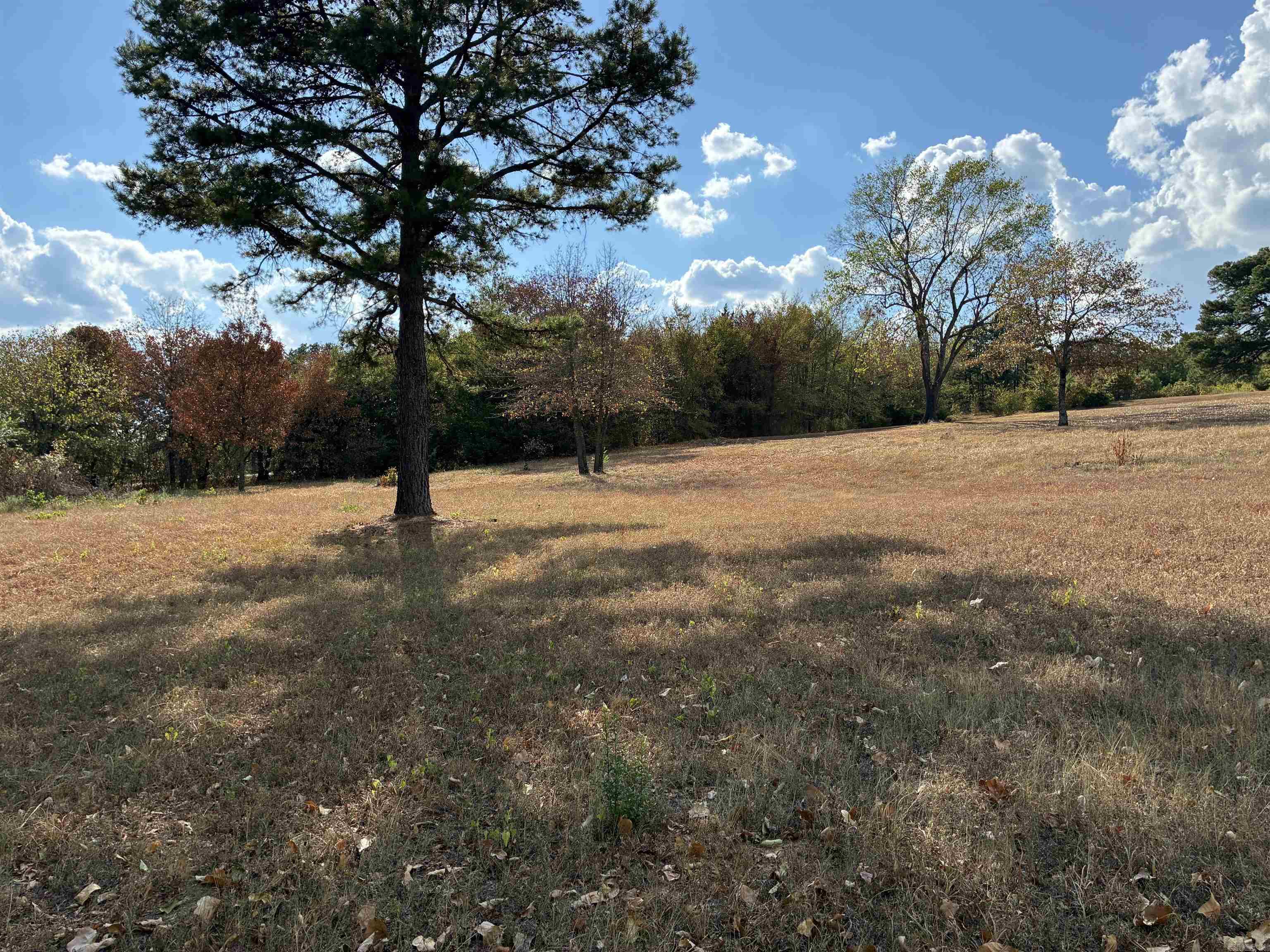 6507 N State Highway 109 Property Photo 23