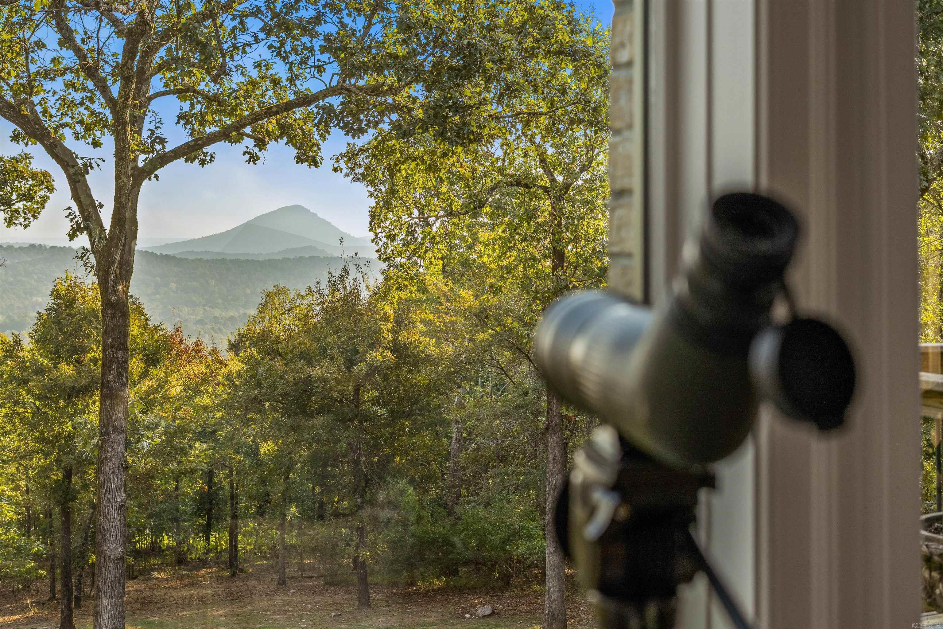 24008 Mills Mountain Road Property Photo 5