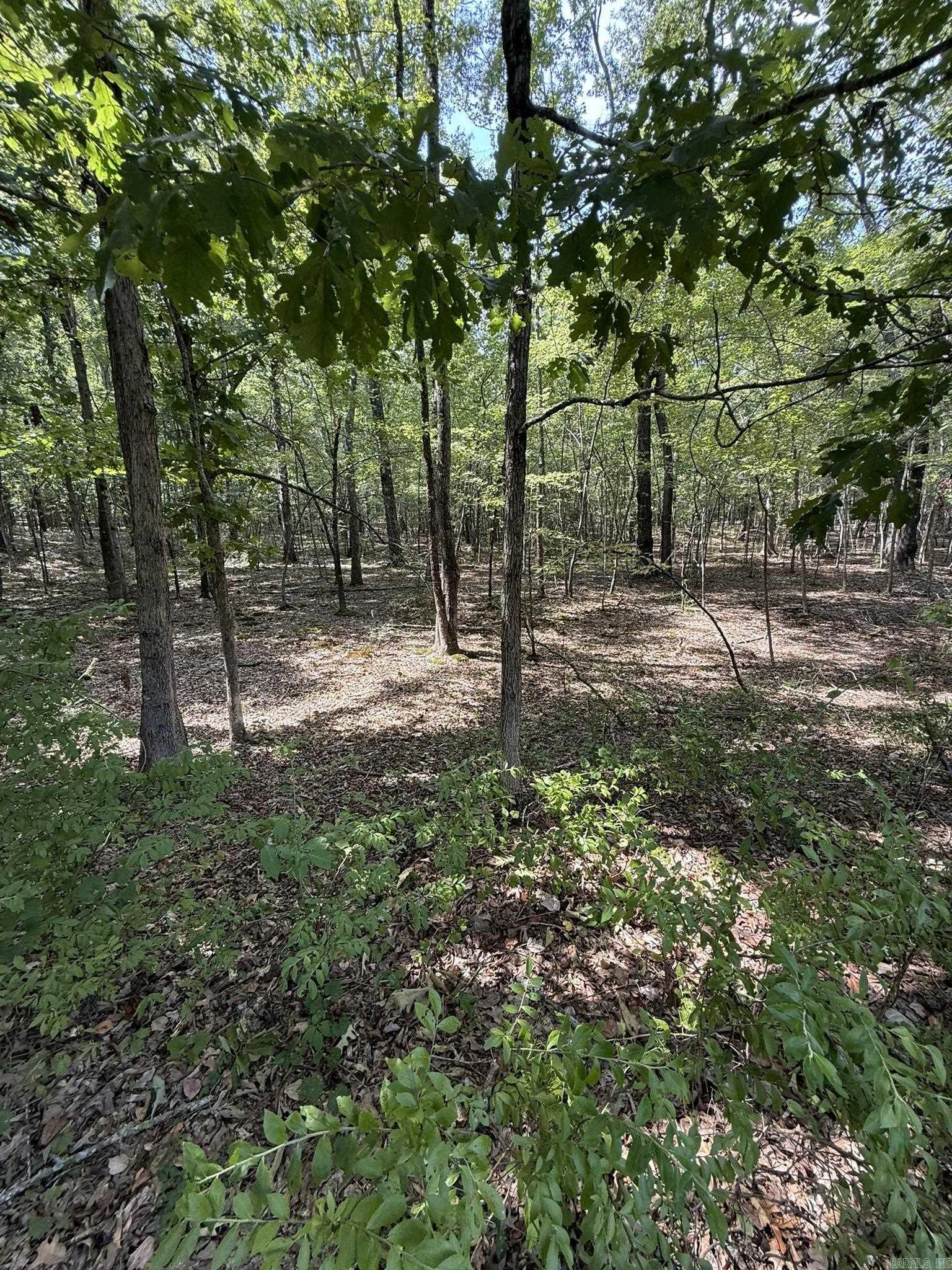 14 E Navajo Trail Property Photo 31