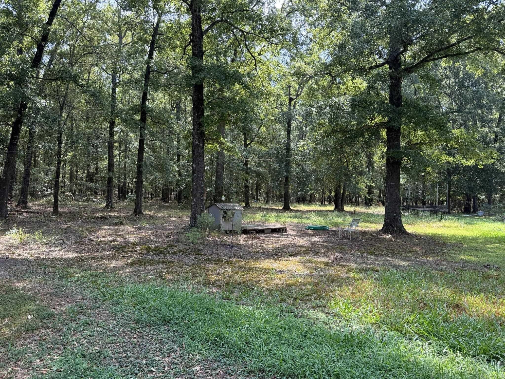 14 E Navajo Trail Property Photo 39