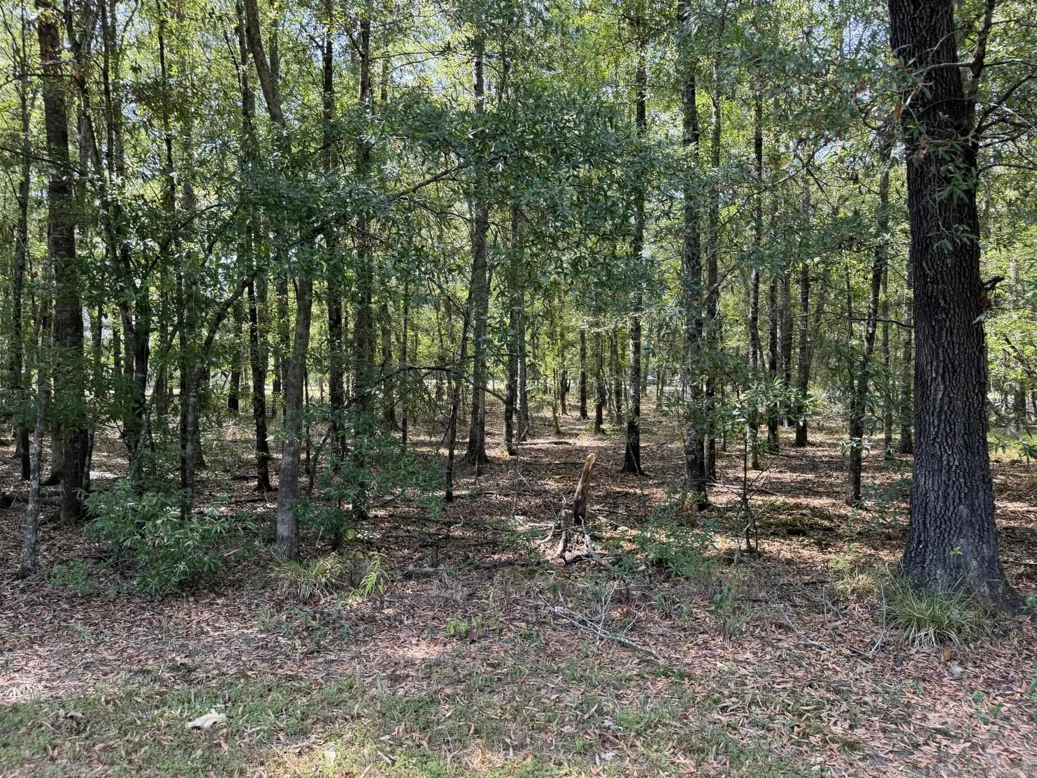 14 E Navajo Trail Property Photo 48