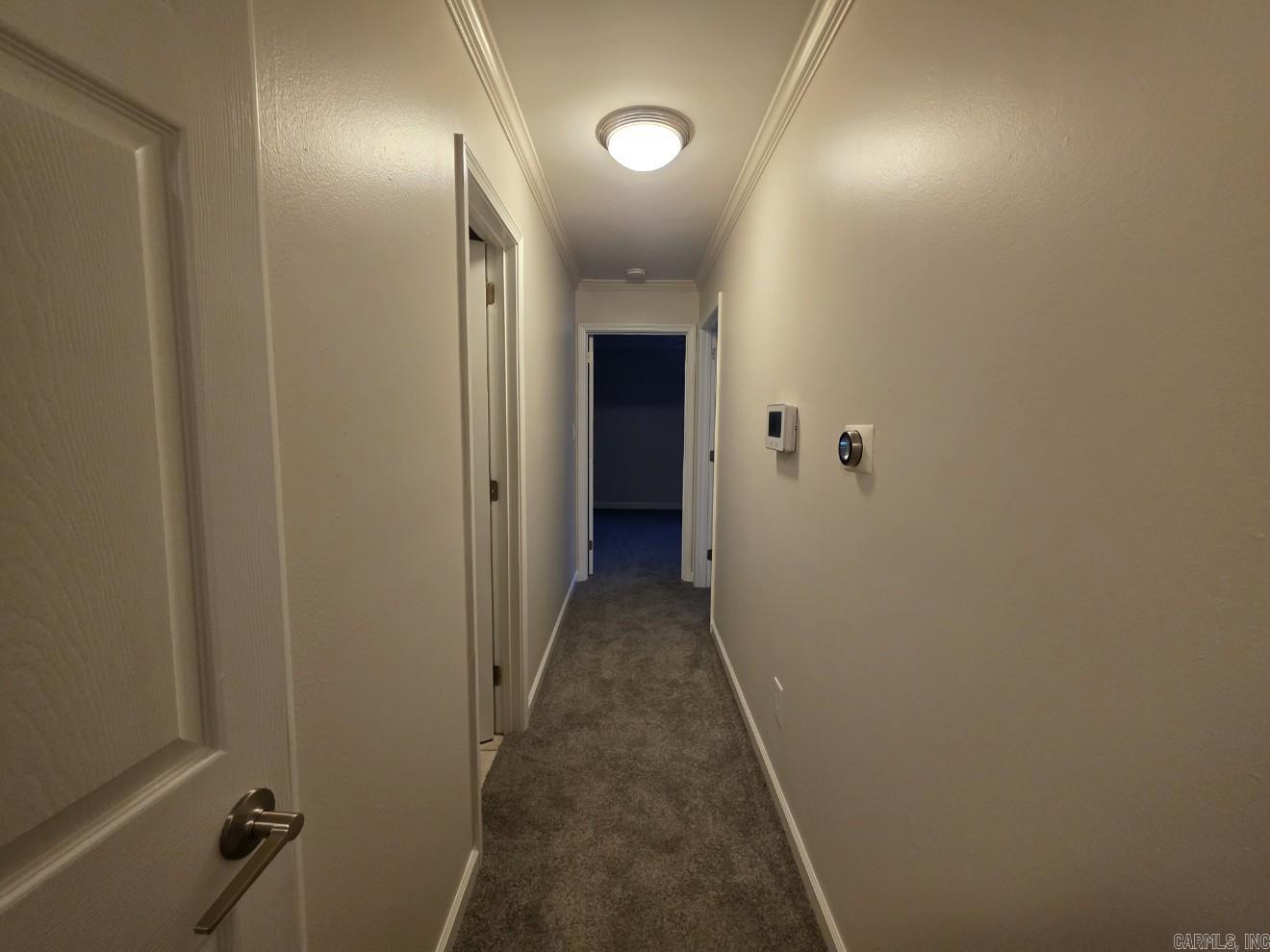 12512 Woodbury Drive Property Photo 19