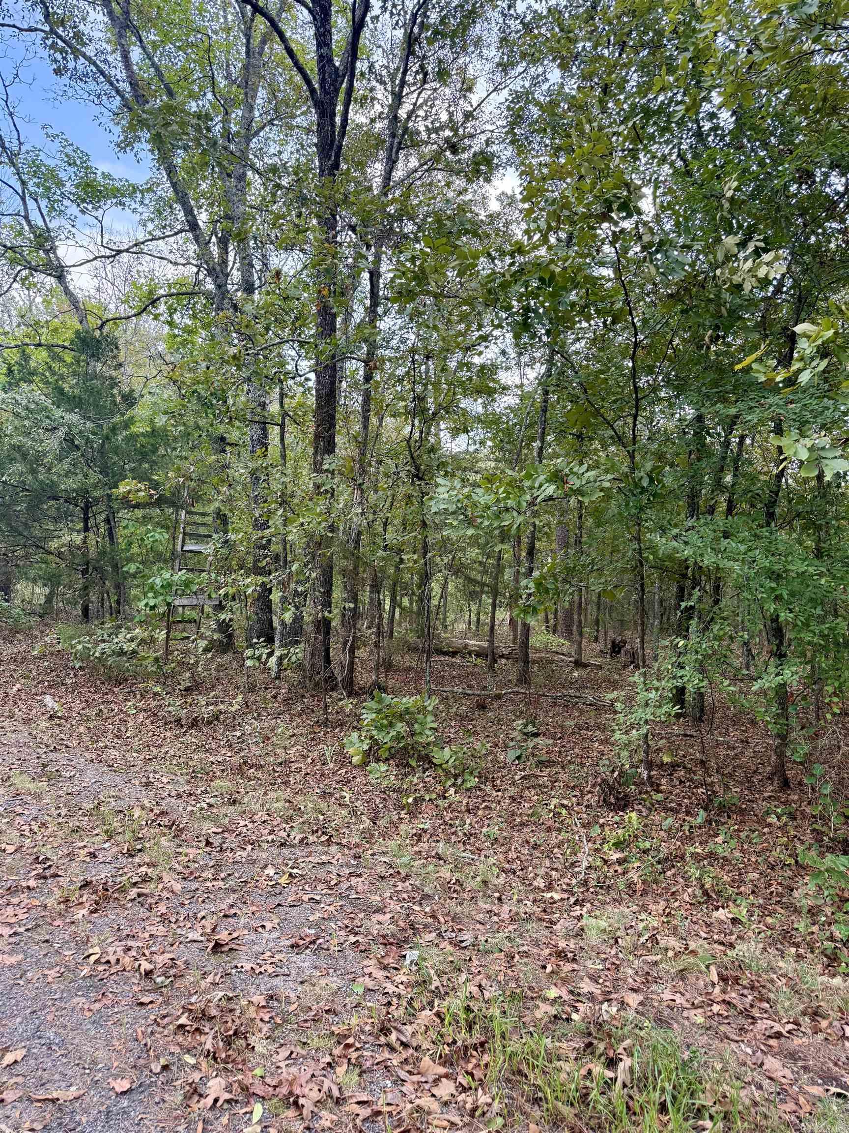 Lot 5 Ellen Property Photo 3