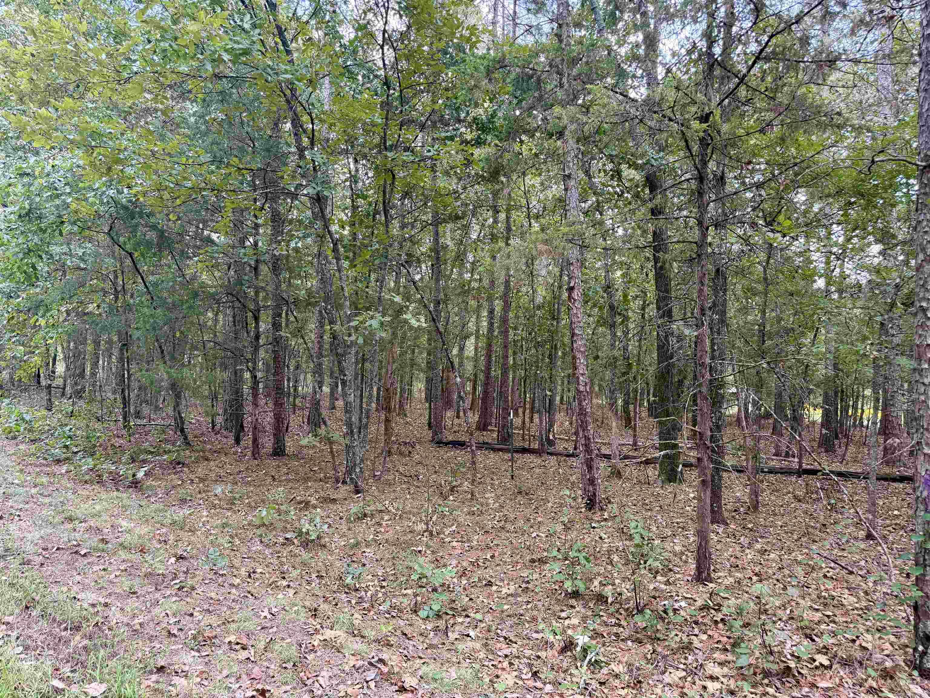 Lot 5 Ellen Property Photo 4