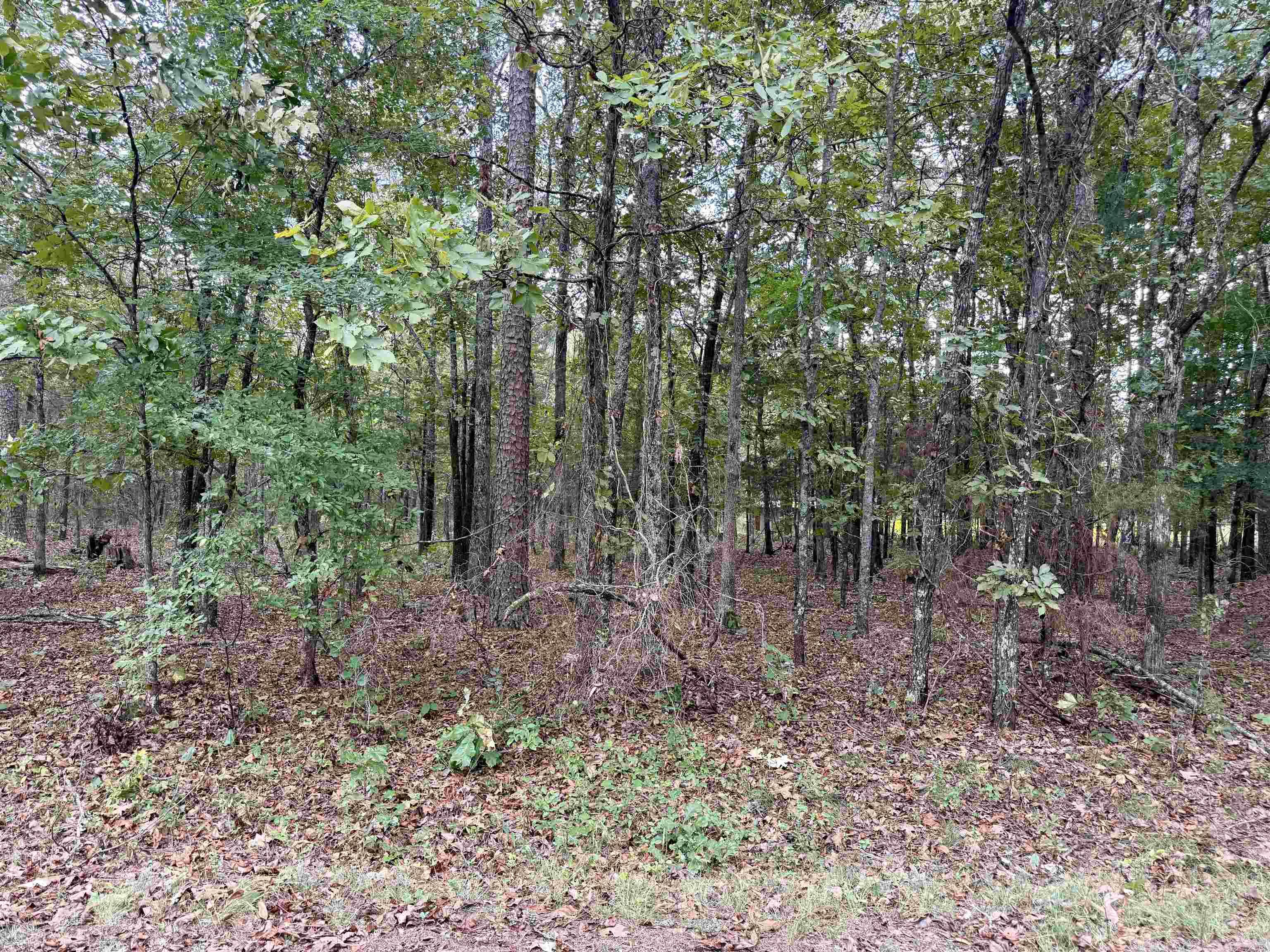 Lot 5 Ellen Property Photo 5