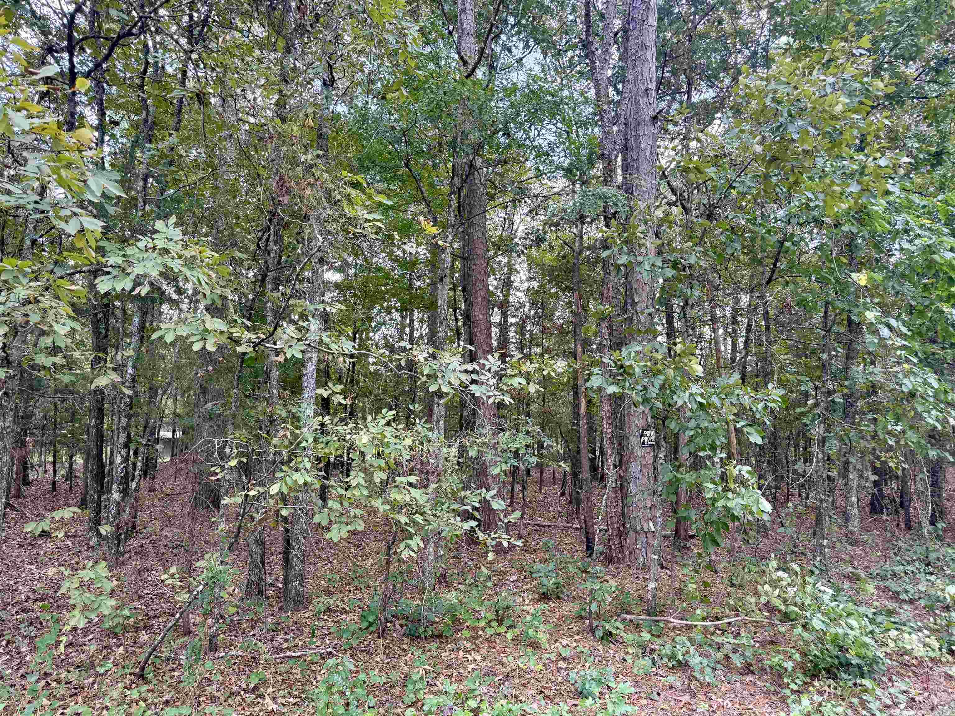 Lot 6 Ellen Property Photo 1