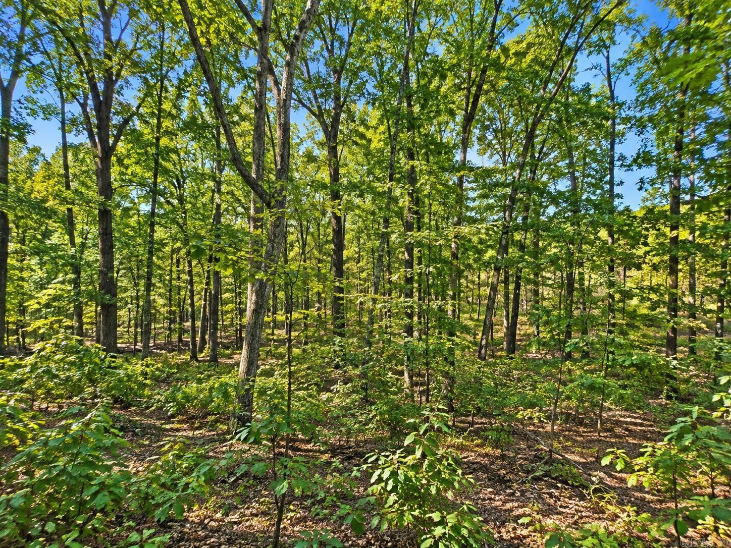000 Diamond Bluff Road Property Photo 3