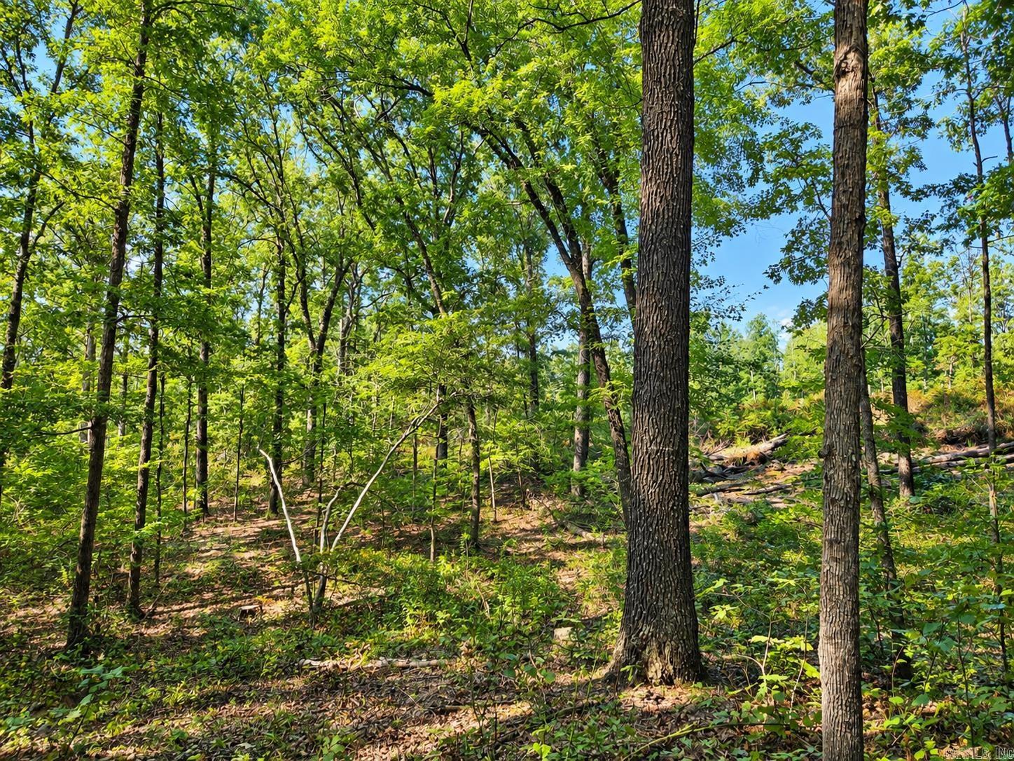 000 Diamond Bluff Road Property Photo 4
