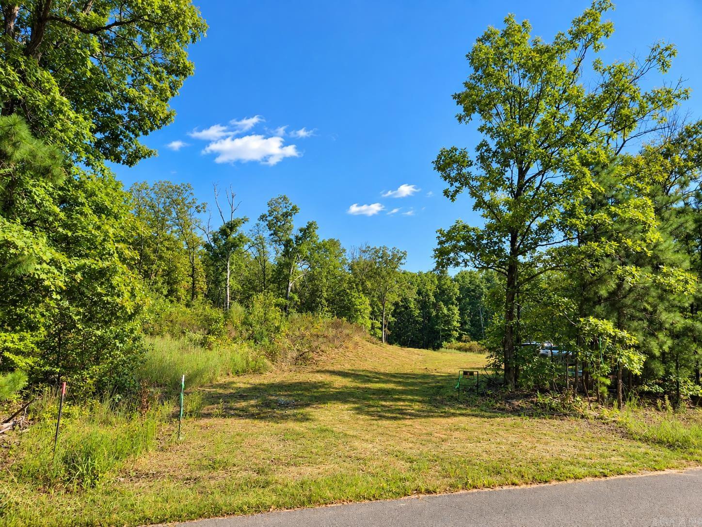 000 Diamond Bluff Road Property Photo 13