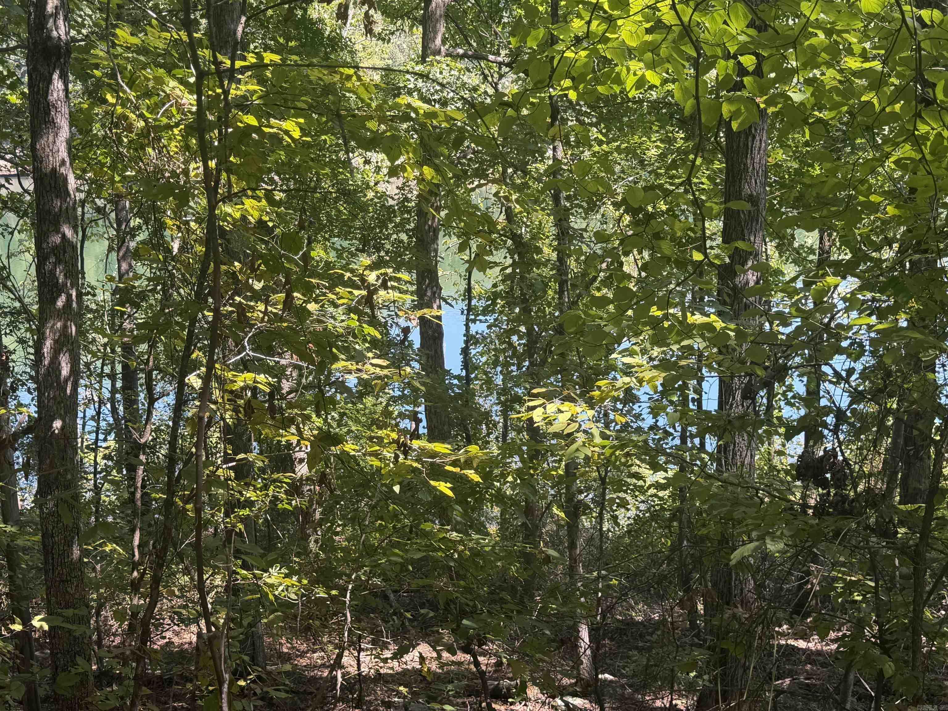 320 Lakeside Drive Property Photo 1