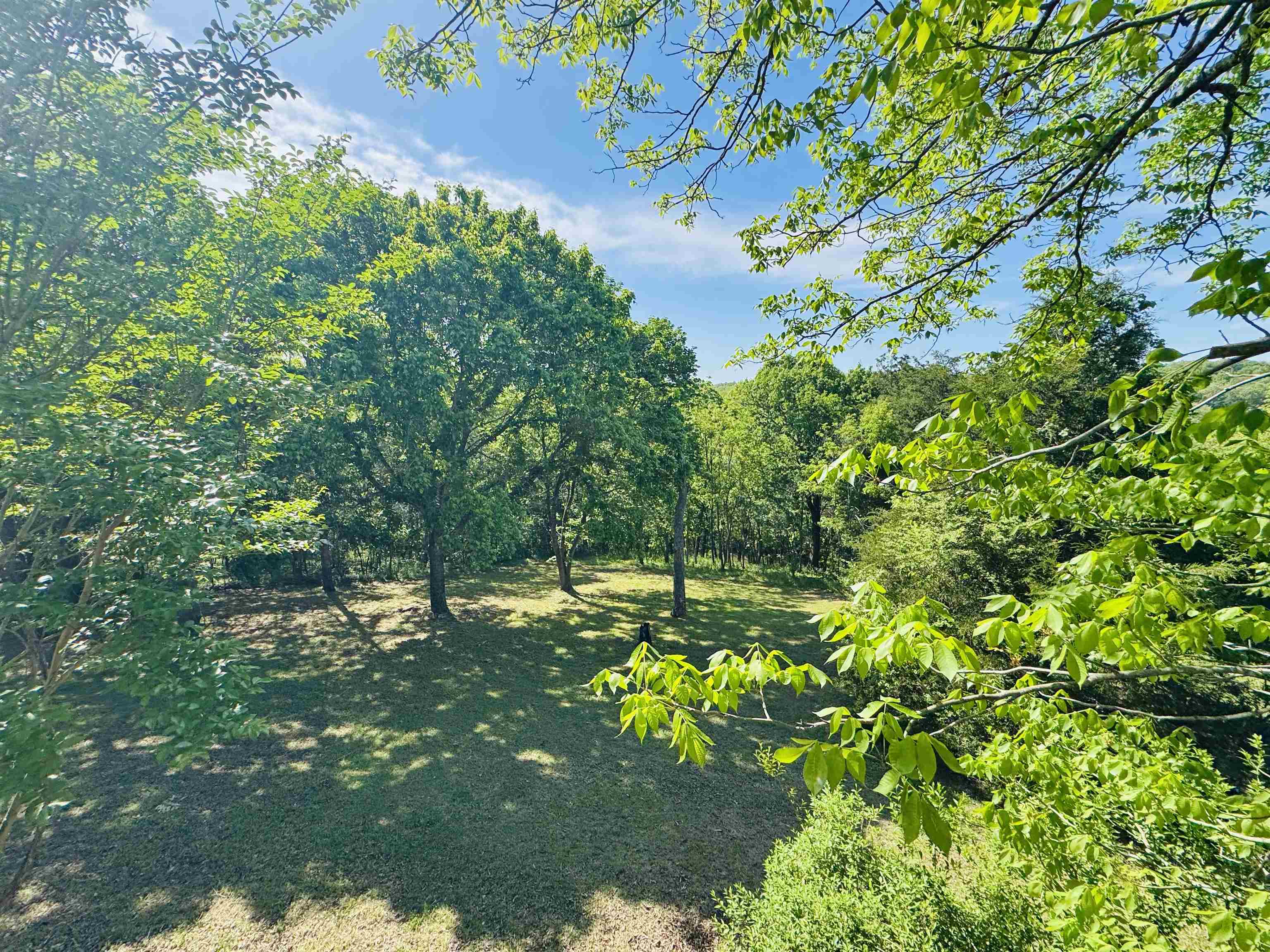 100 Powhatan Drive Property Photo 14