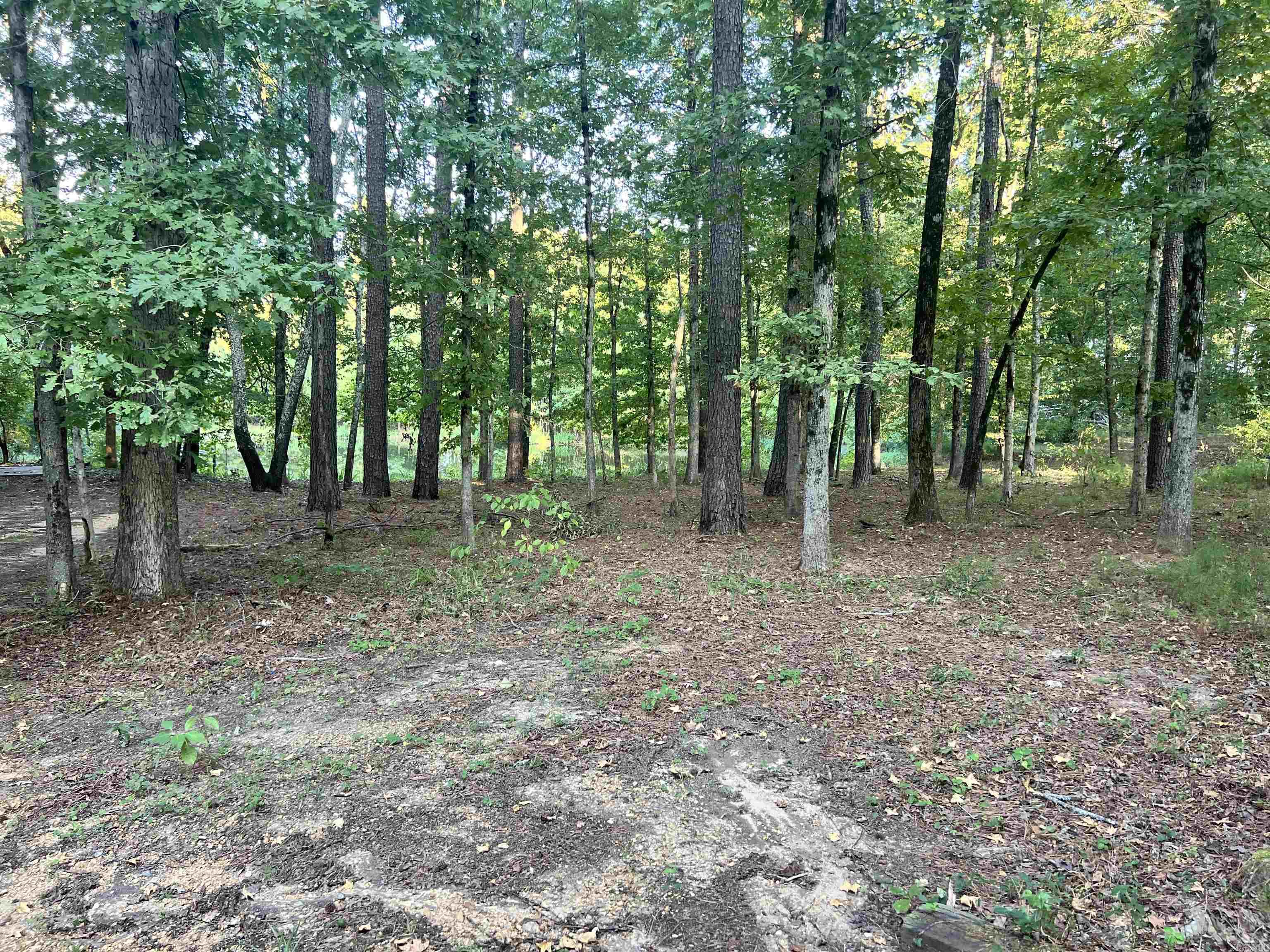 7367 Goodfellow Road Property Photo 26