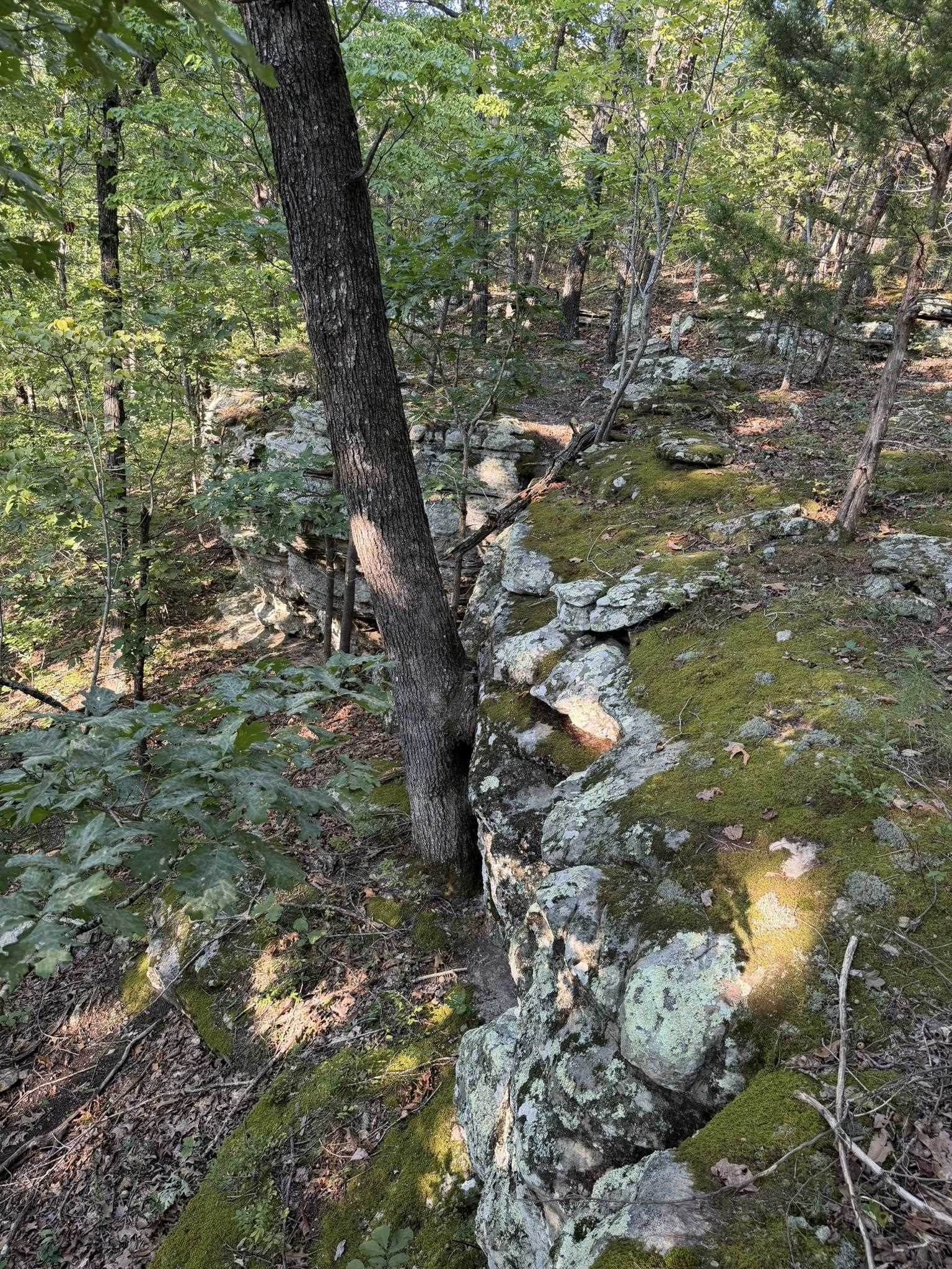 143a Dreamrider Dr. Property Photo 5