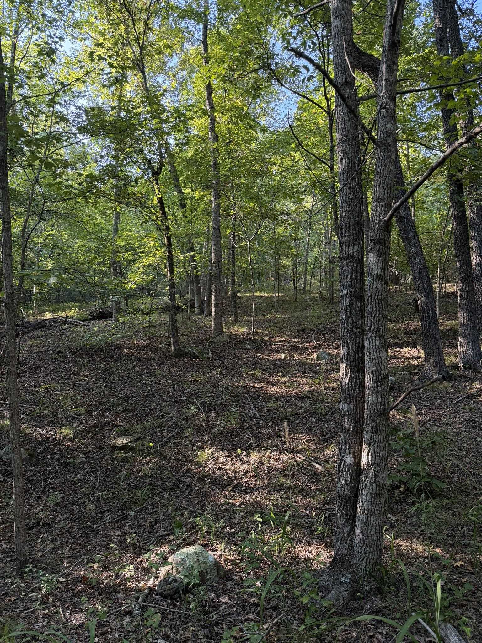 143a Dreamrider Dr. Property Photo 7