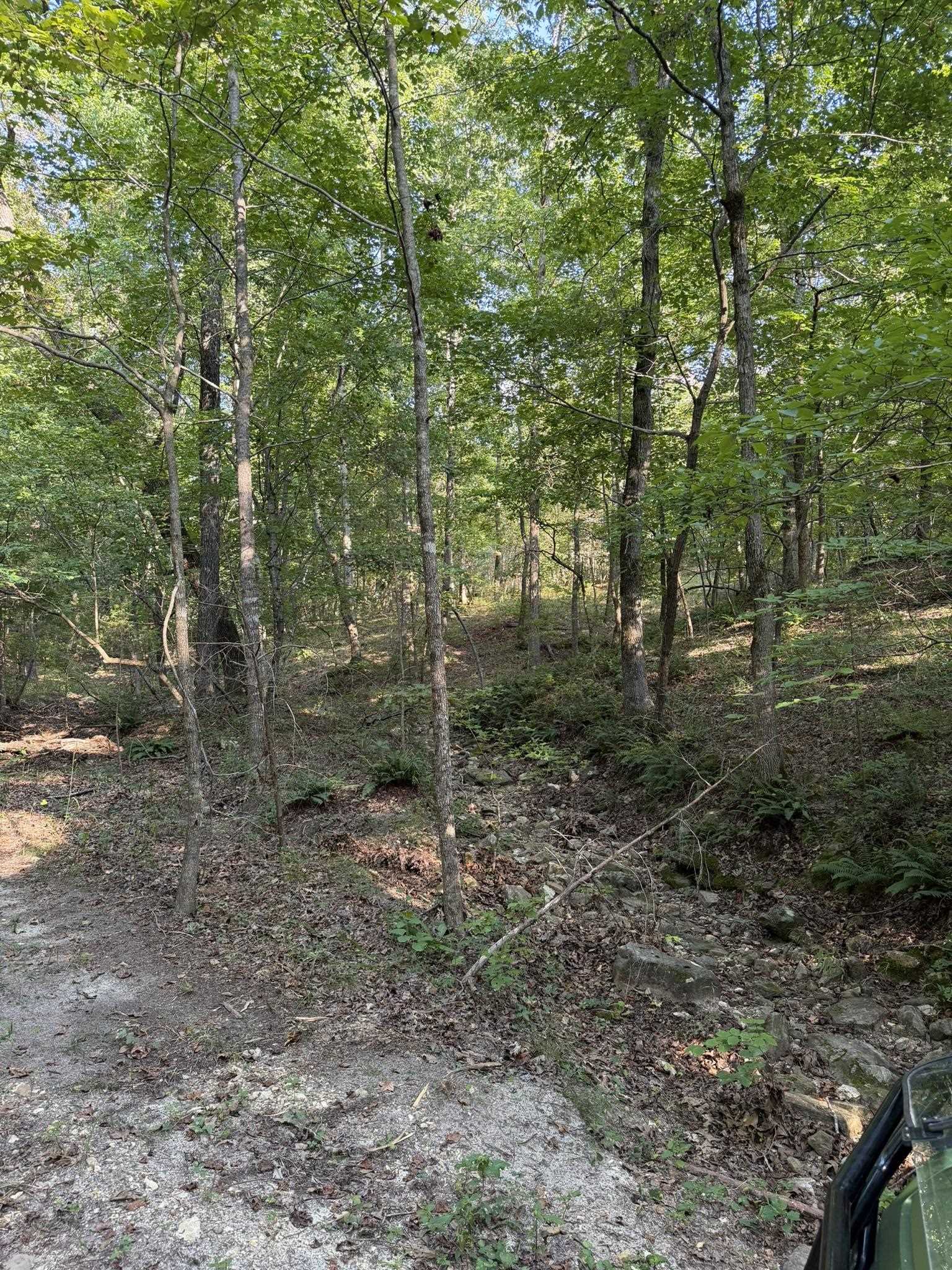143a Dreamrider Dr. Property Photo 9