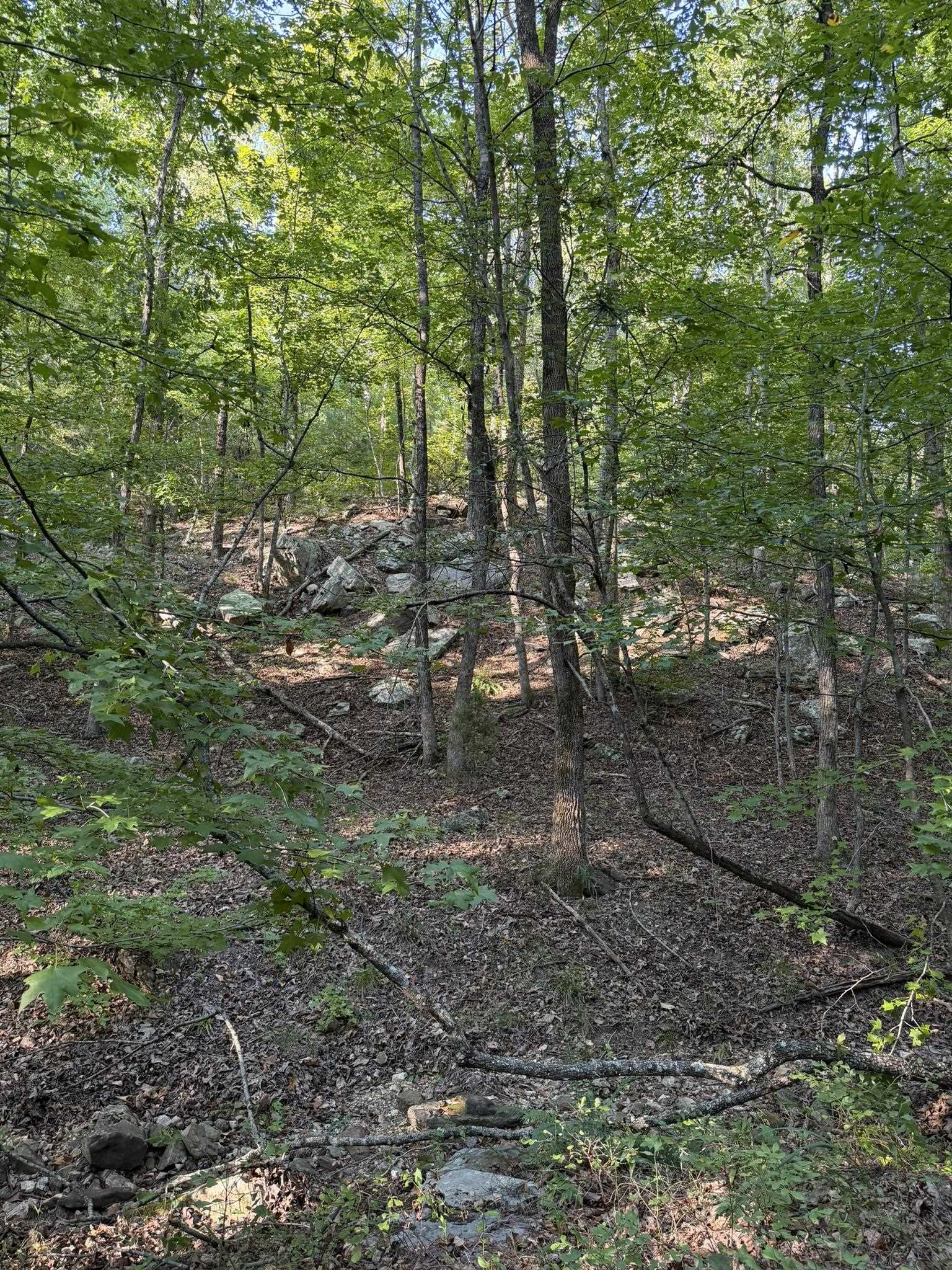 143a Dreamrider Dr. Property Photo 10
