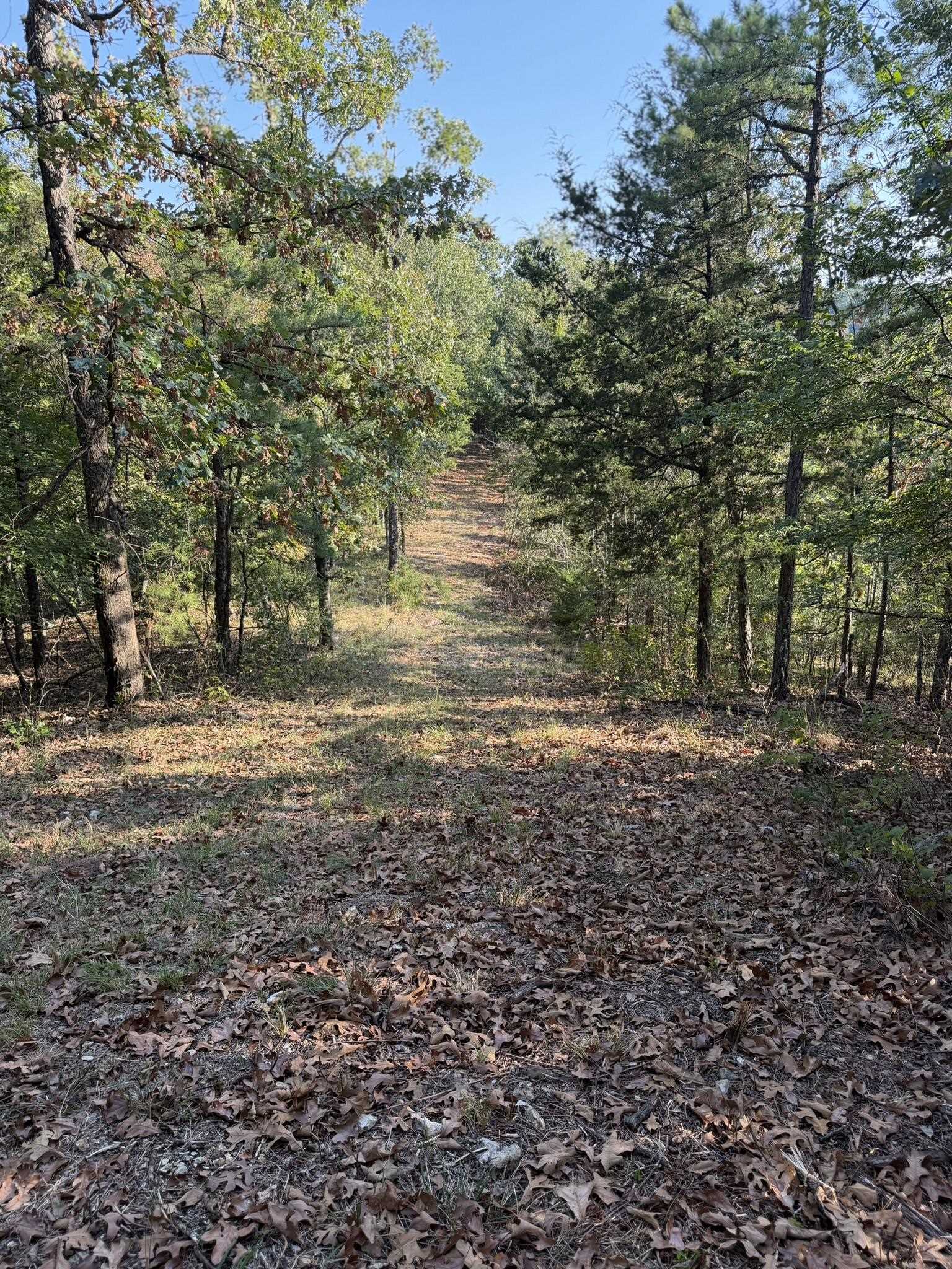143a Dreamrider Dr. Property Photo 12