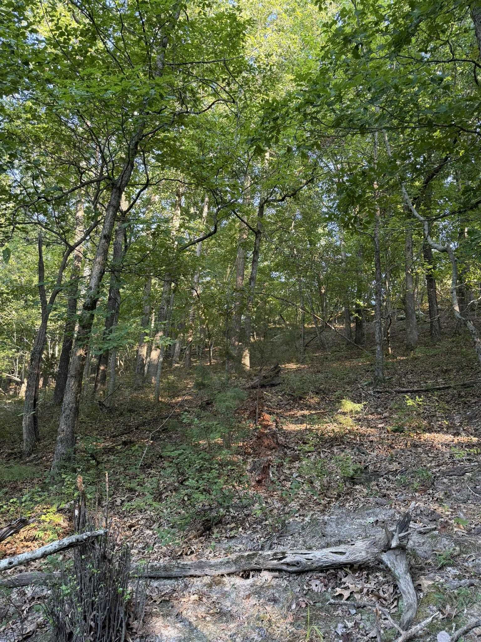 143a Dreamrider Dr. Property Photo 13