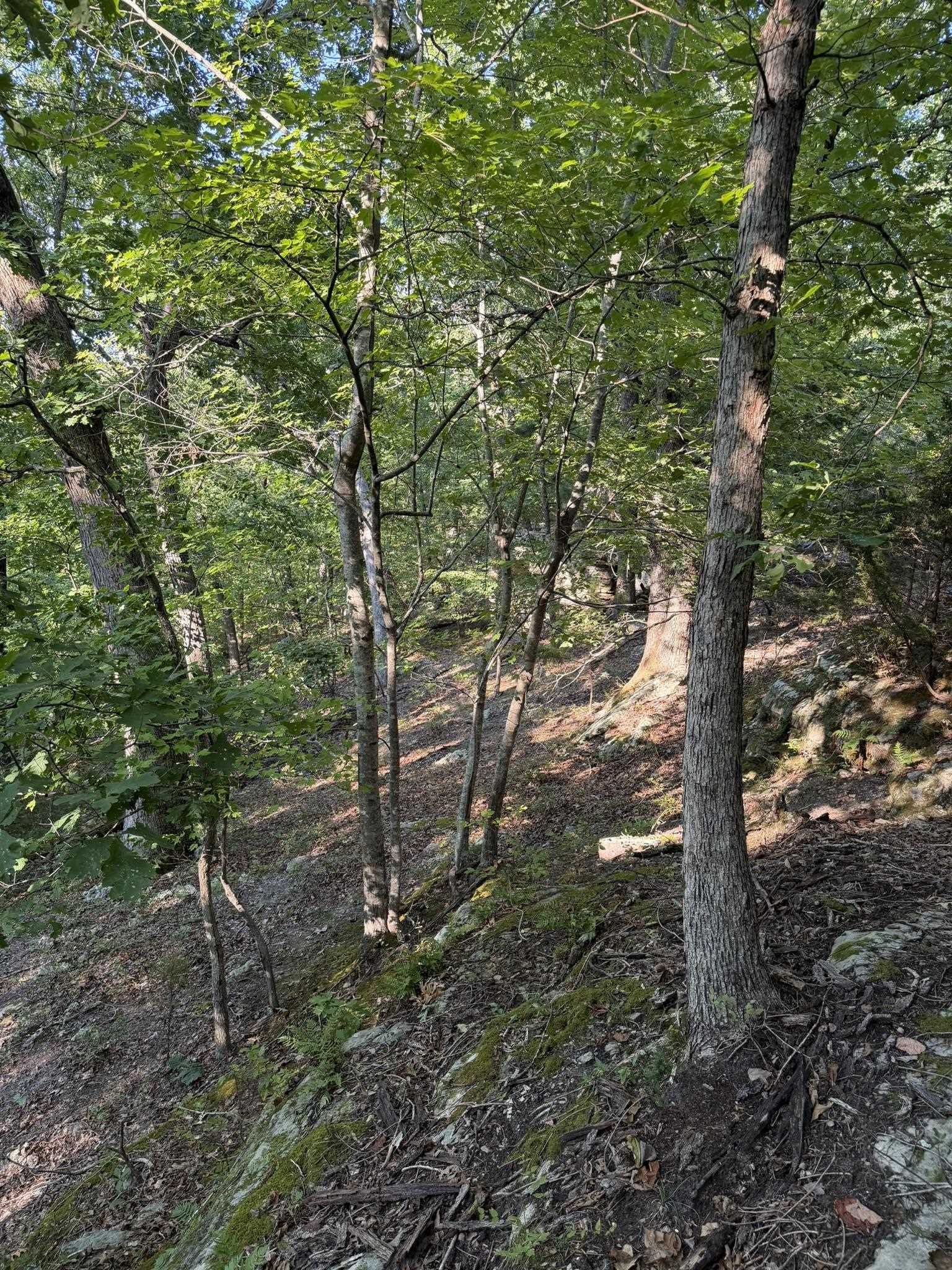143a Dreamrider Dr. Property Photo 16