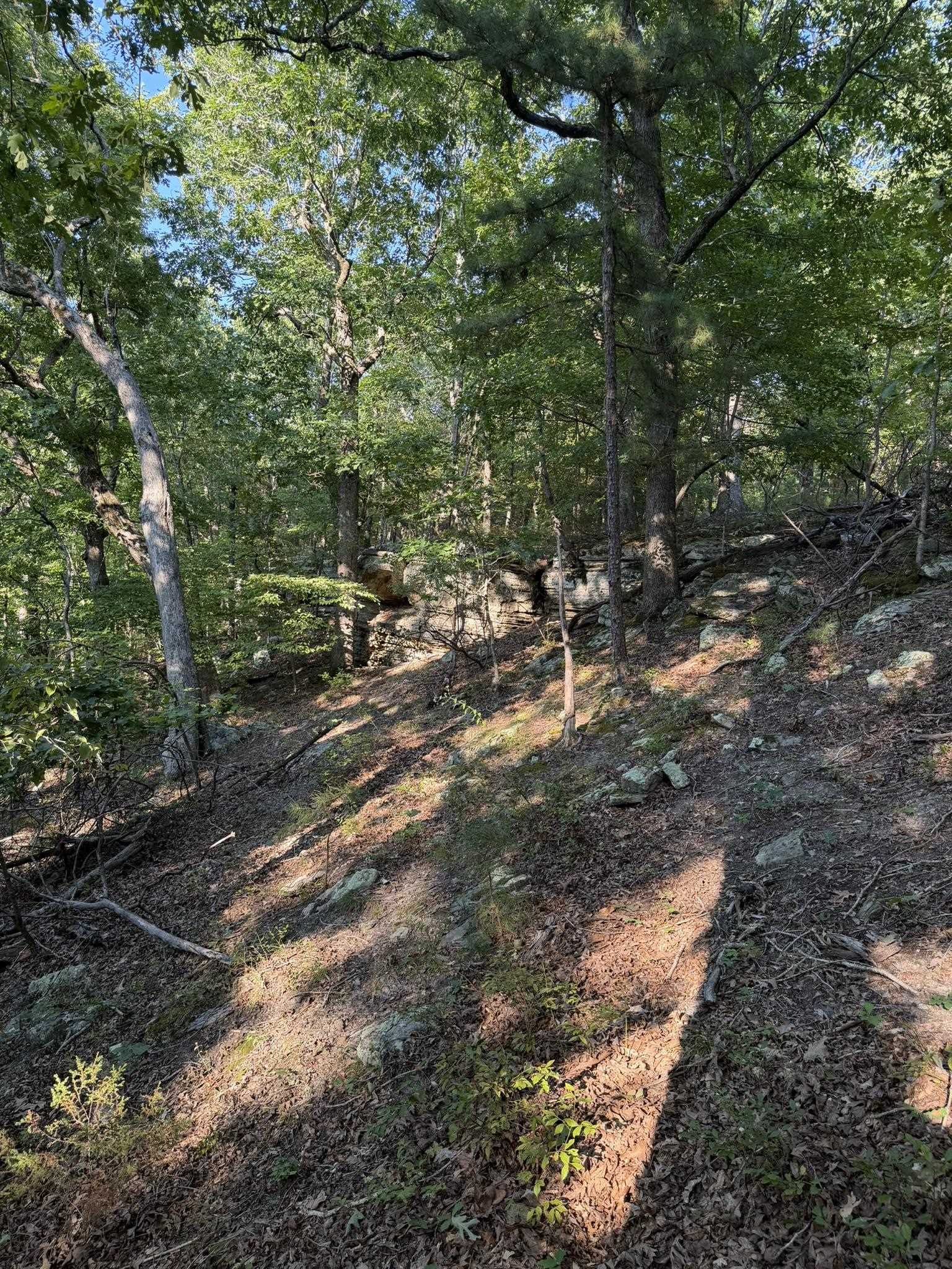 143a Dreamrider Dr. Property Photo 18